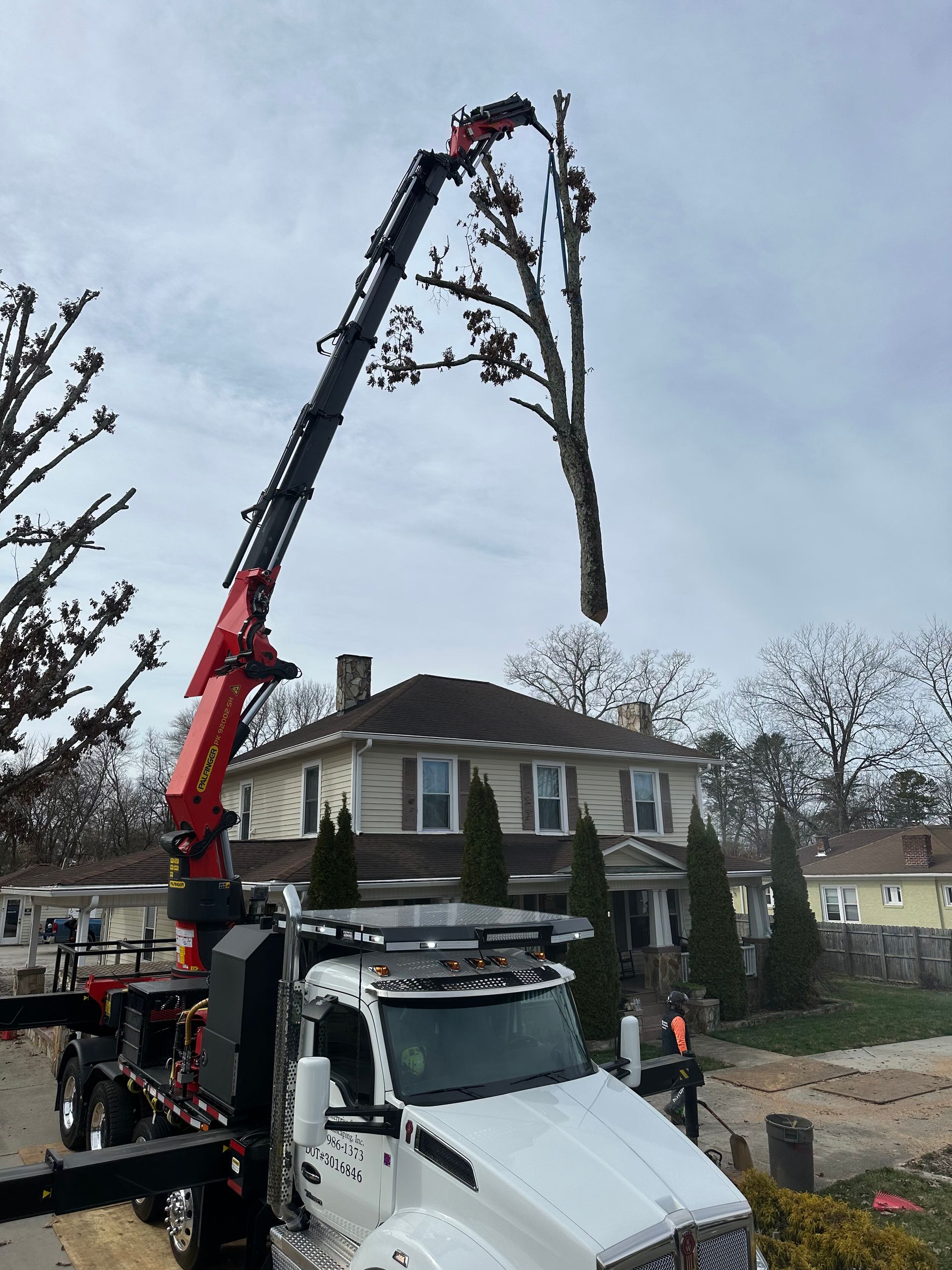 Tree Service 2