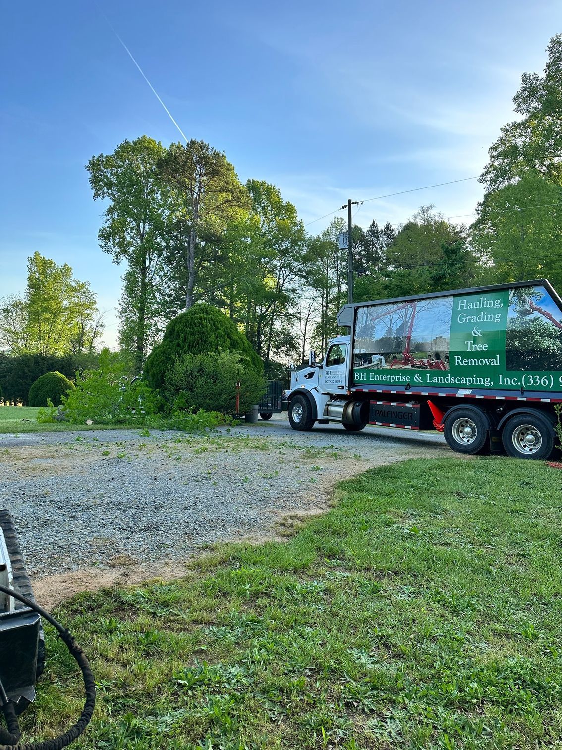 Tree and green truck