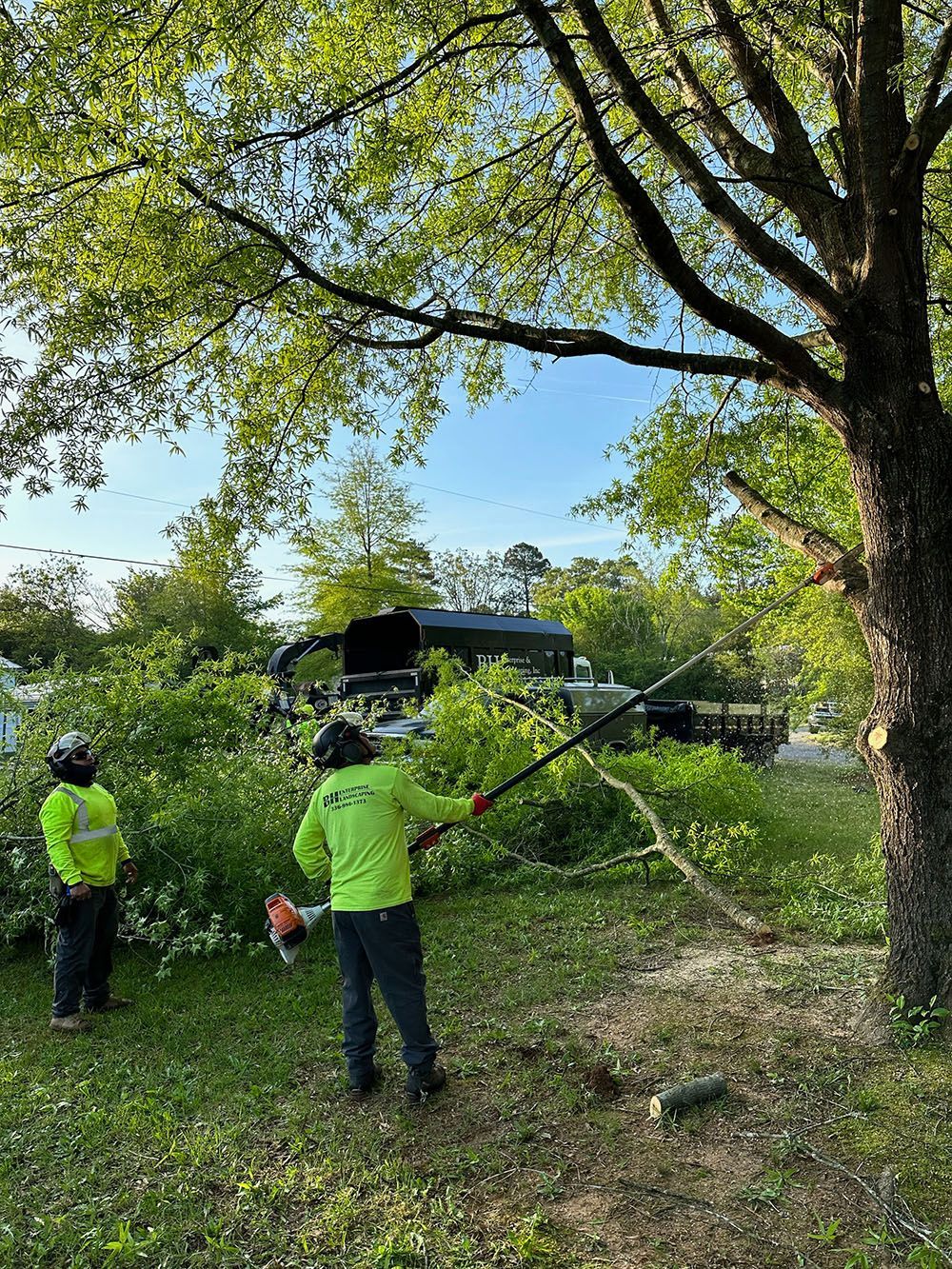 Tree and 2 men in green