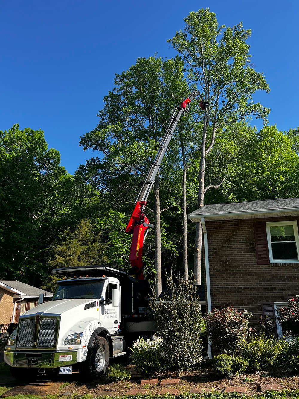 Tree Service