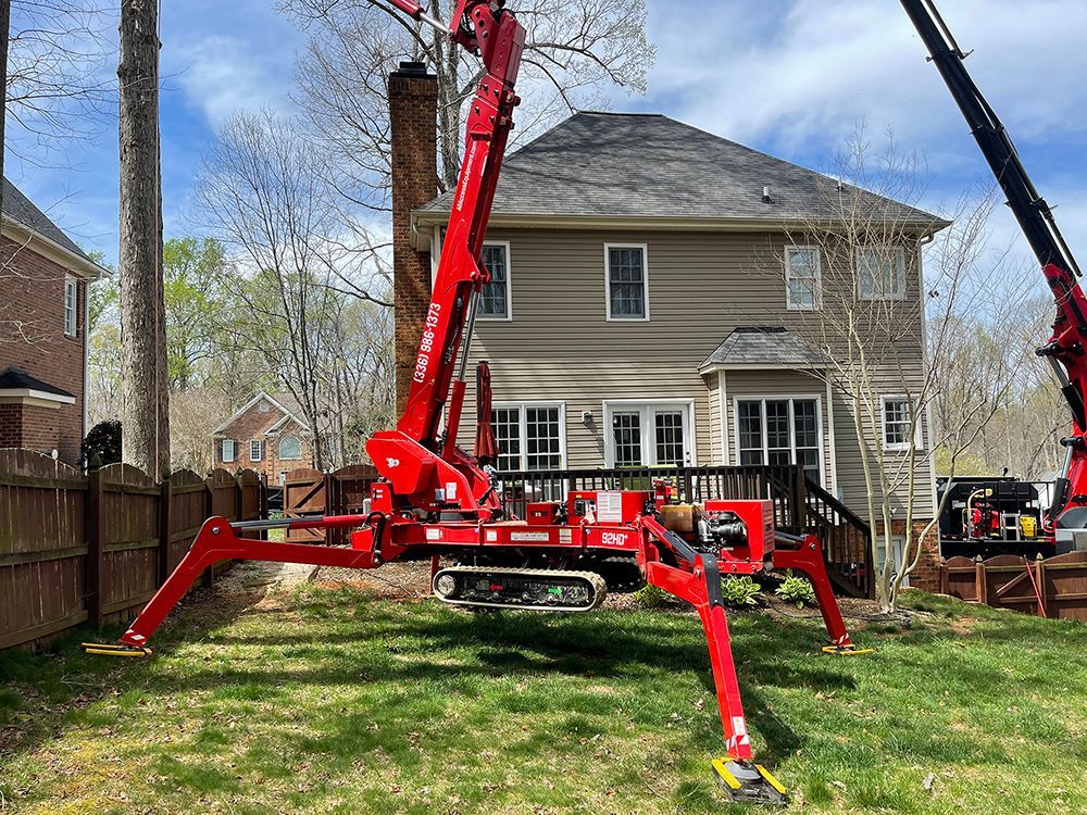 Tree services