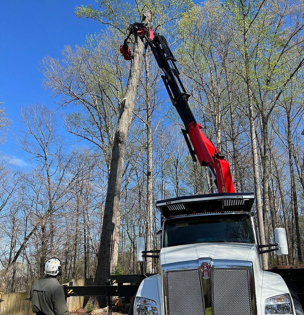 Tree services