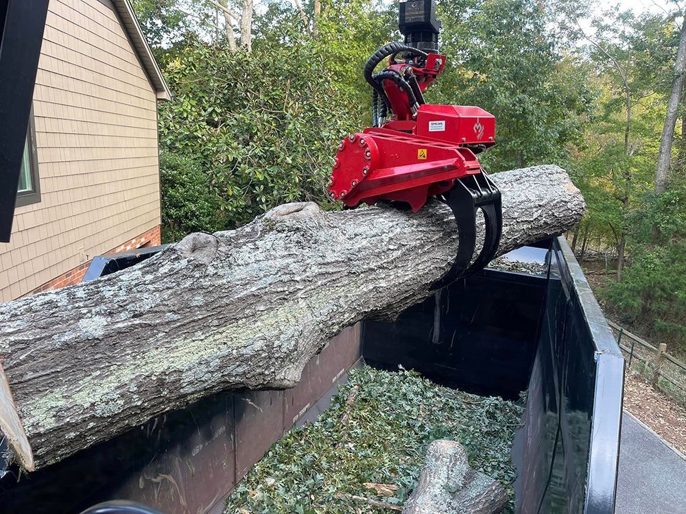 Tree services