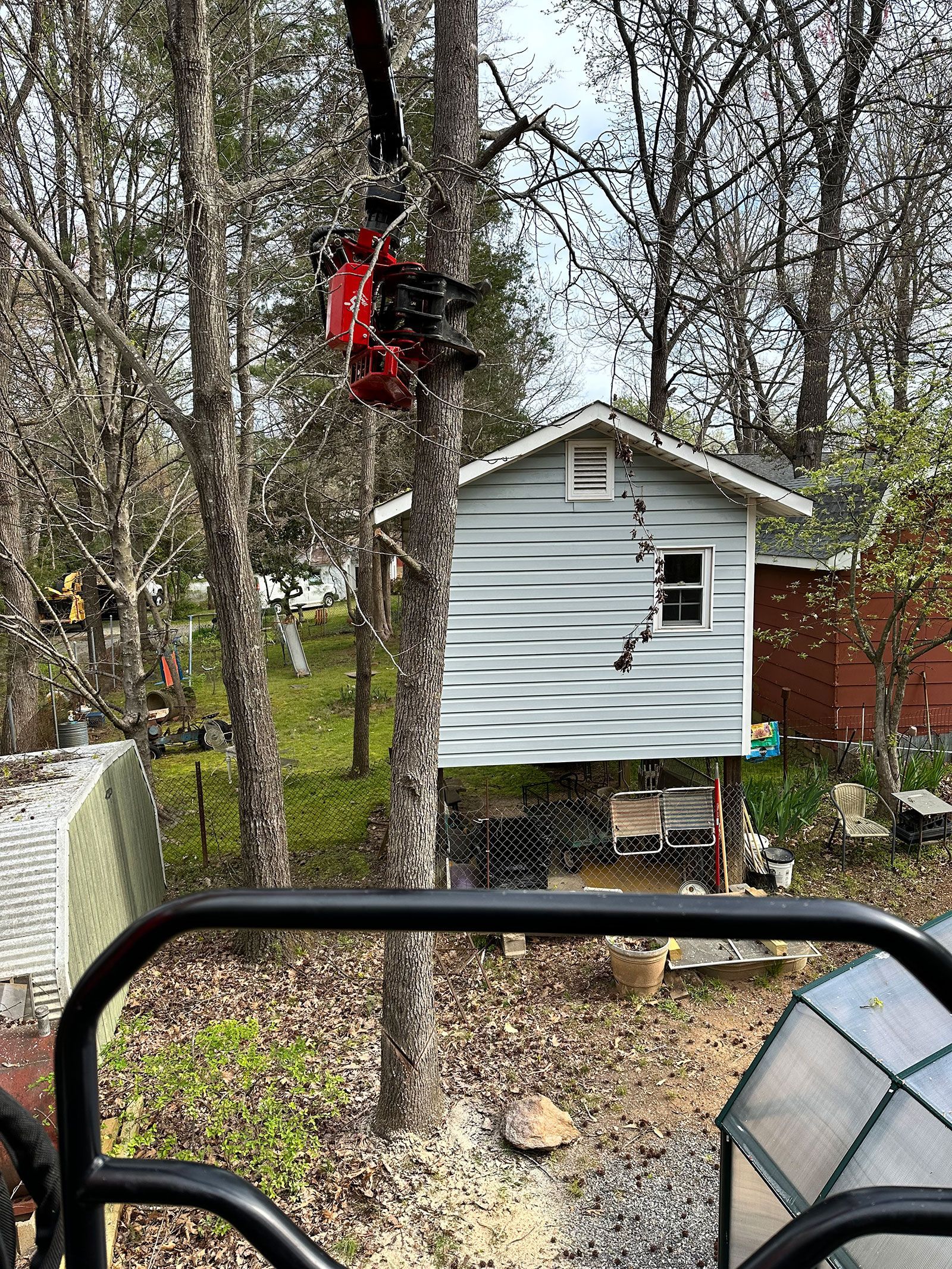 Tree removal service