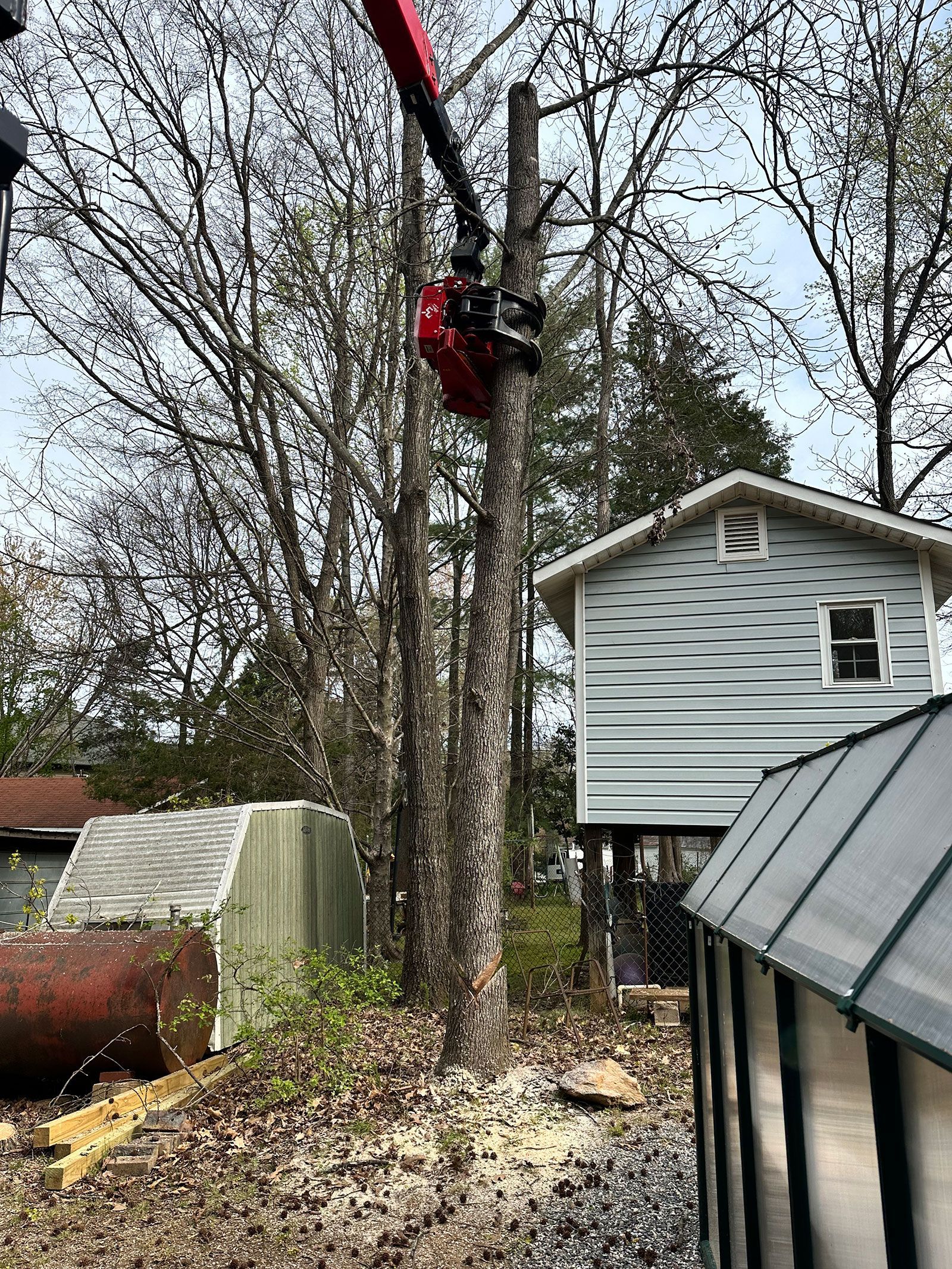 Tree removal service on going