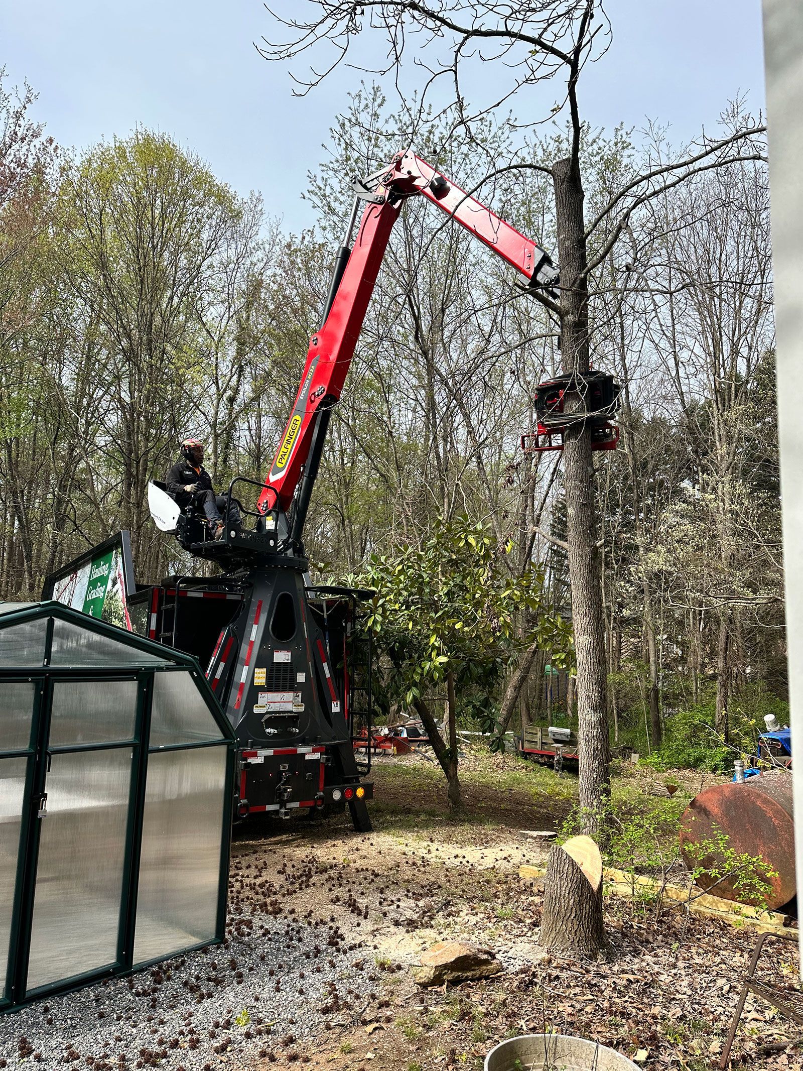 On going tree removal