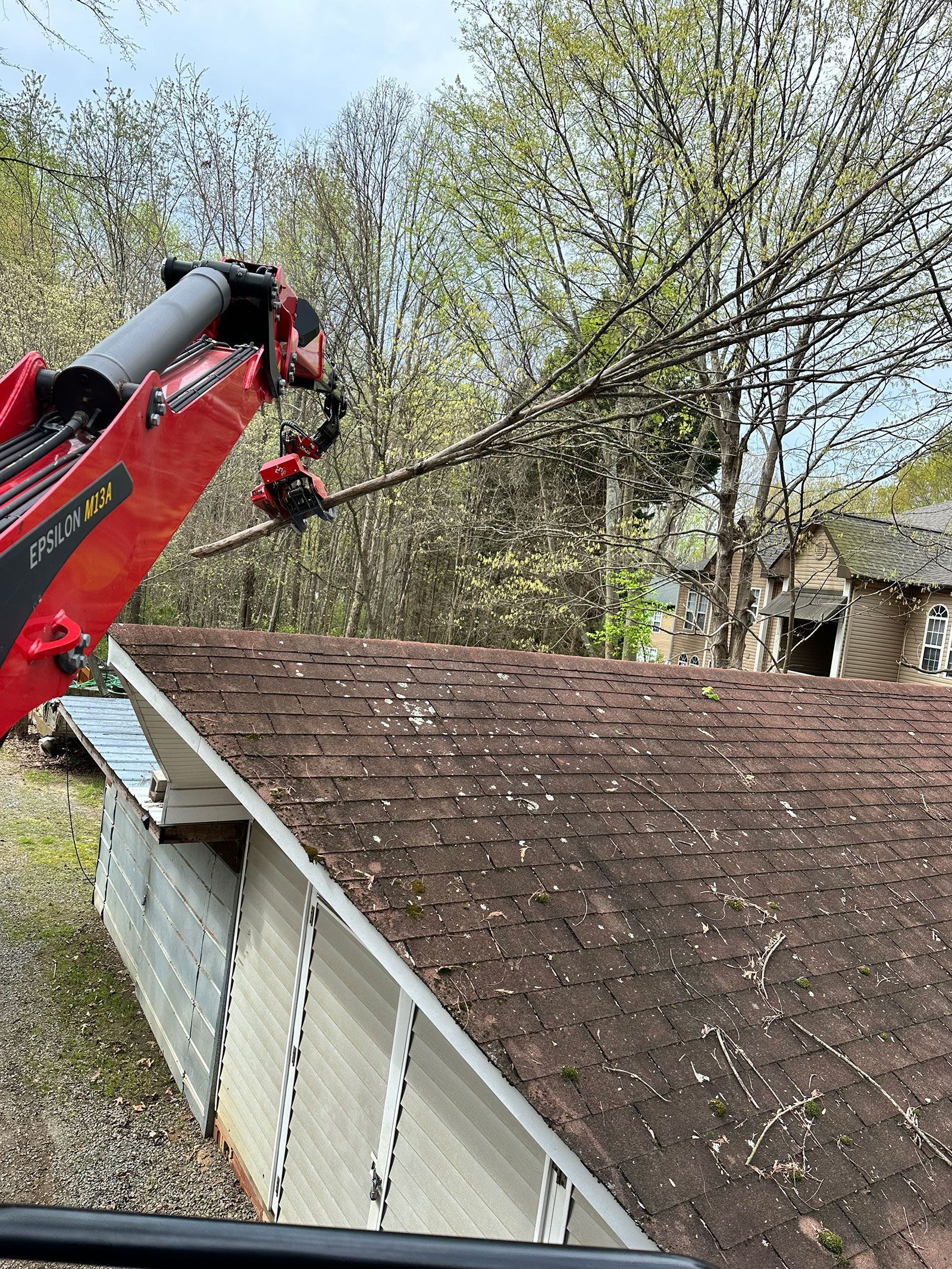 Tree pruning and removal