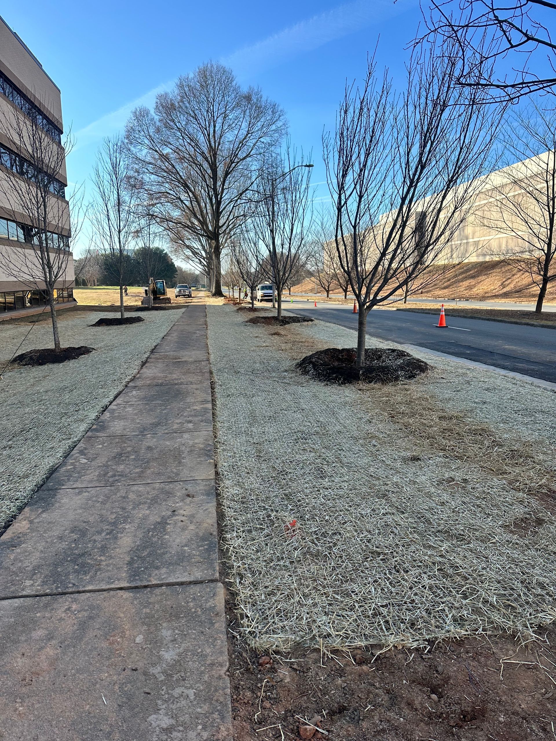 A sidewalk leading to a building with trees on the side of it.