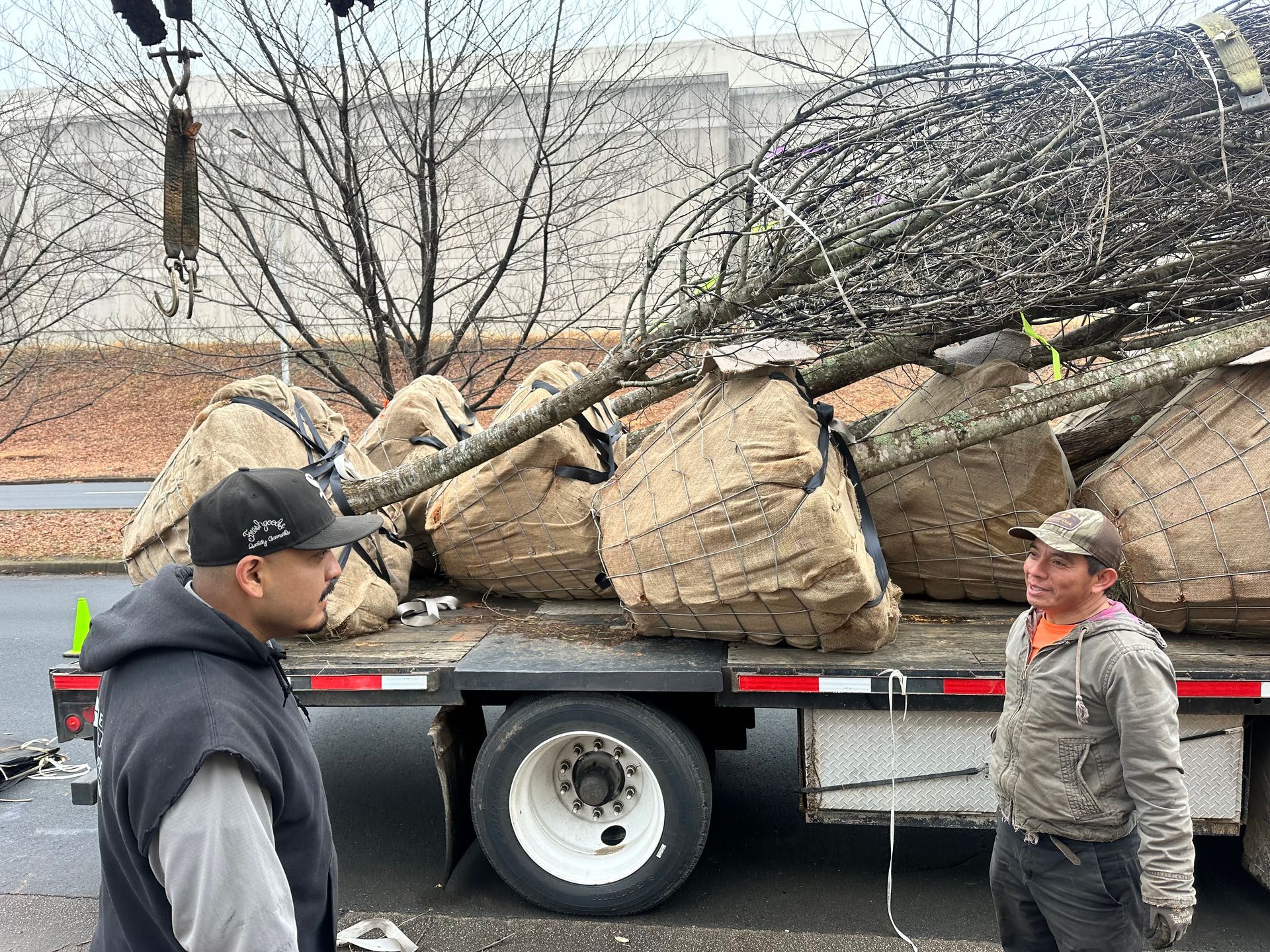 Two men are standing in front of a truck loaded with trees.