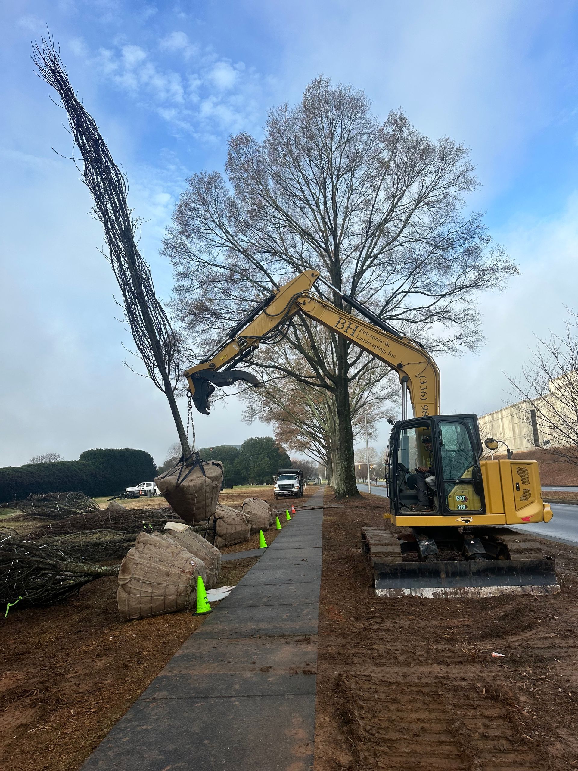 A yellow excavator is digging a hole in the ground next to a tree.