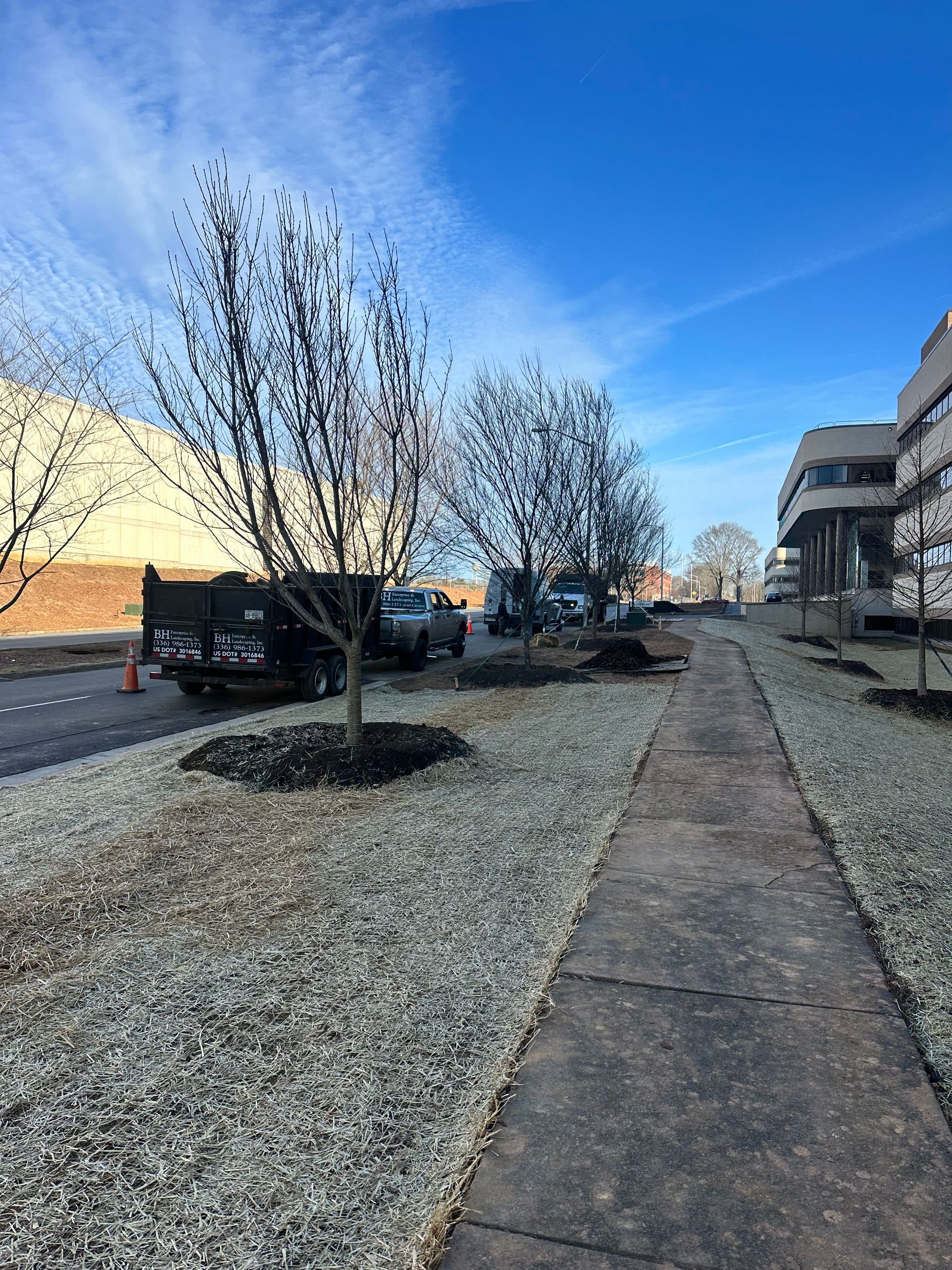 A row of cars are parked in a parking lot next to a sidewalk.