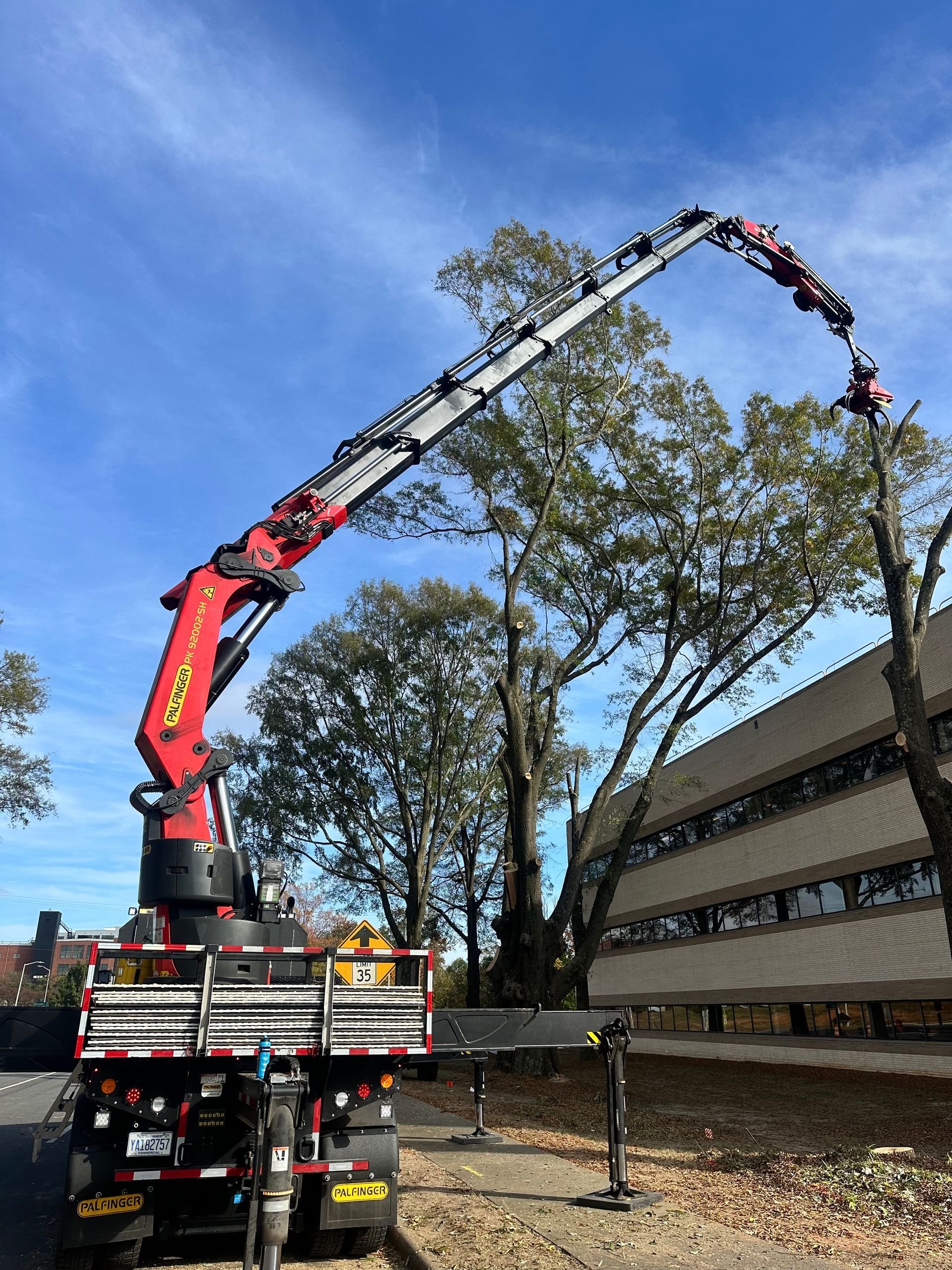 A crane is lifting a tree in front of a building.