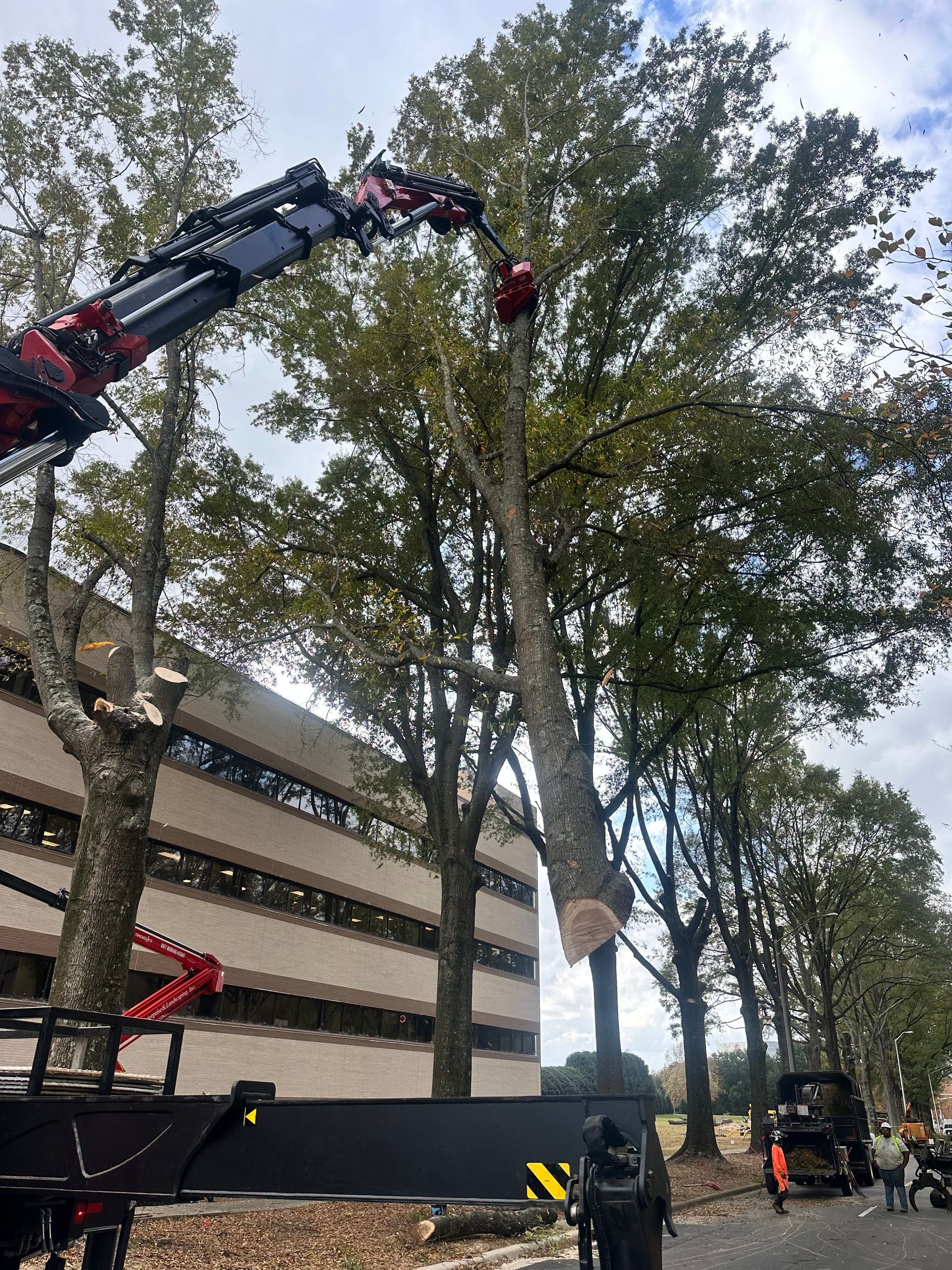 A crane is cutting a tree in front of a building.