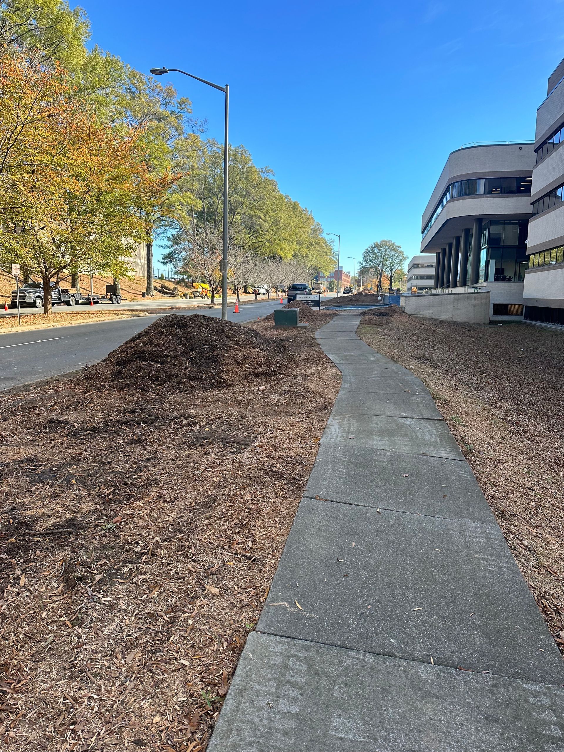 A sidewalk leading to a building with a lot of mulch on the side of it.