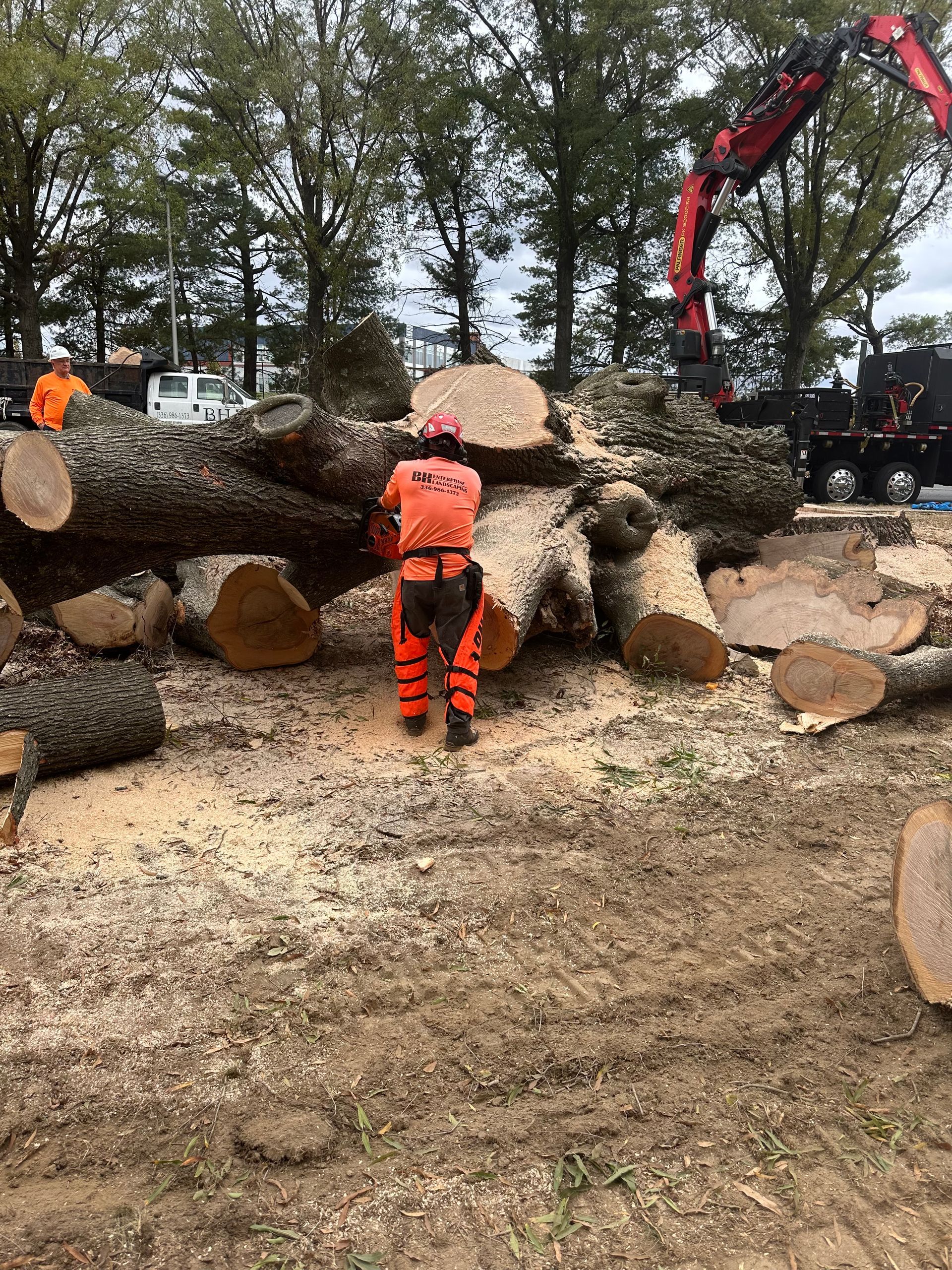 A man is standing next to a pile of logs in a field.