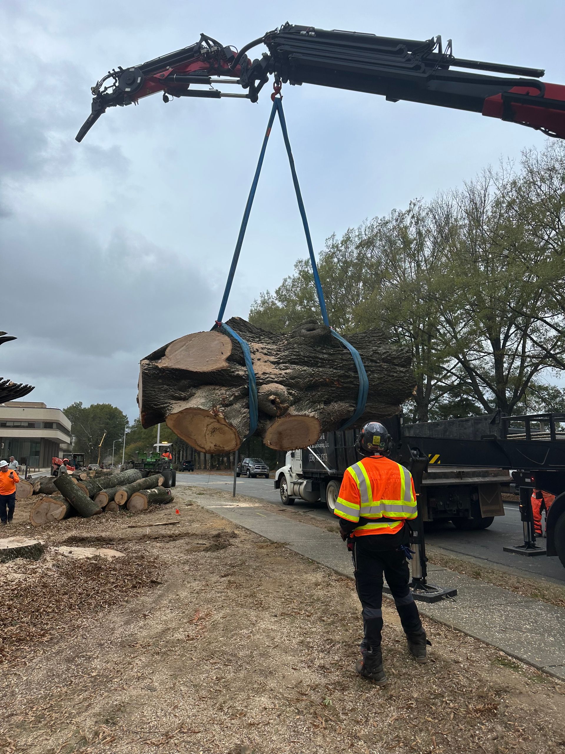 A man is standing next to a large log being lifted by a crane.