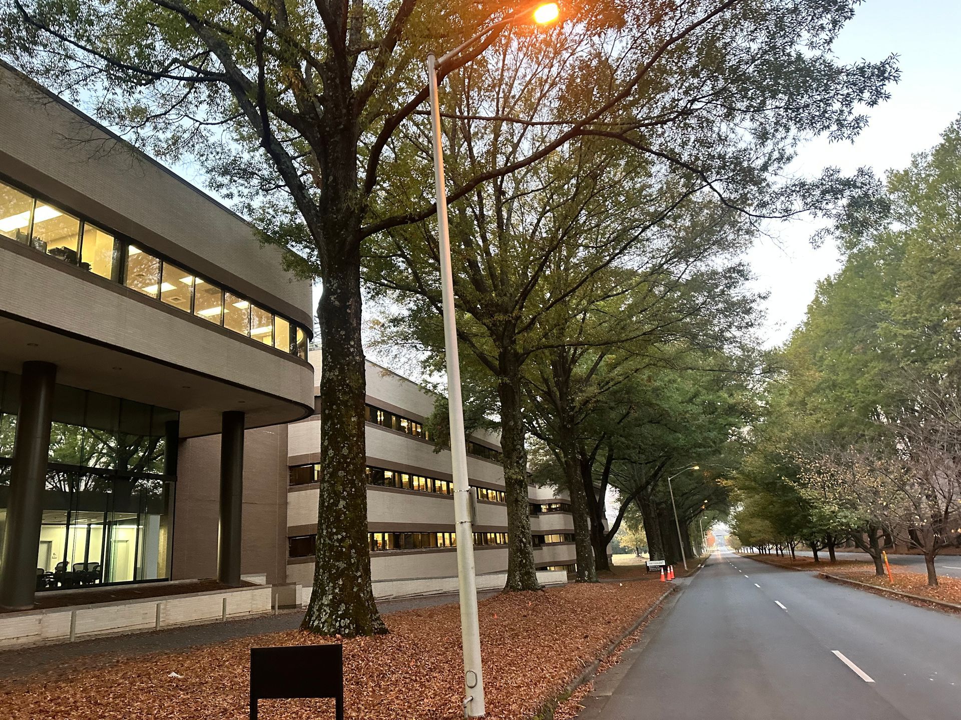 A street with trees and a building in the background