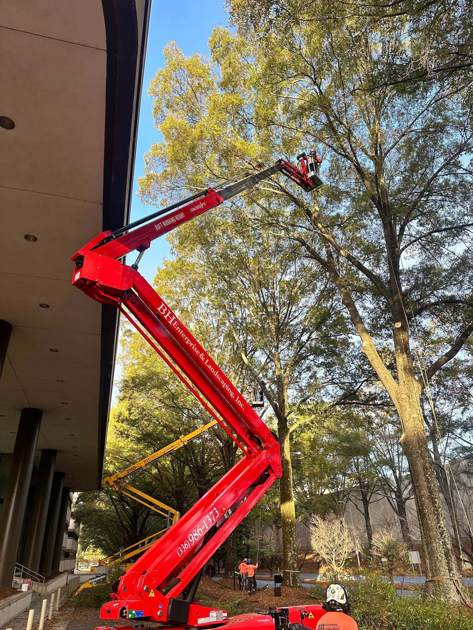 A red crane is cutting a tree in front of a building.