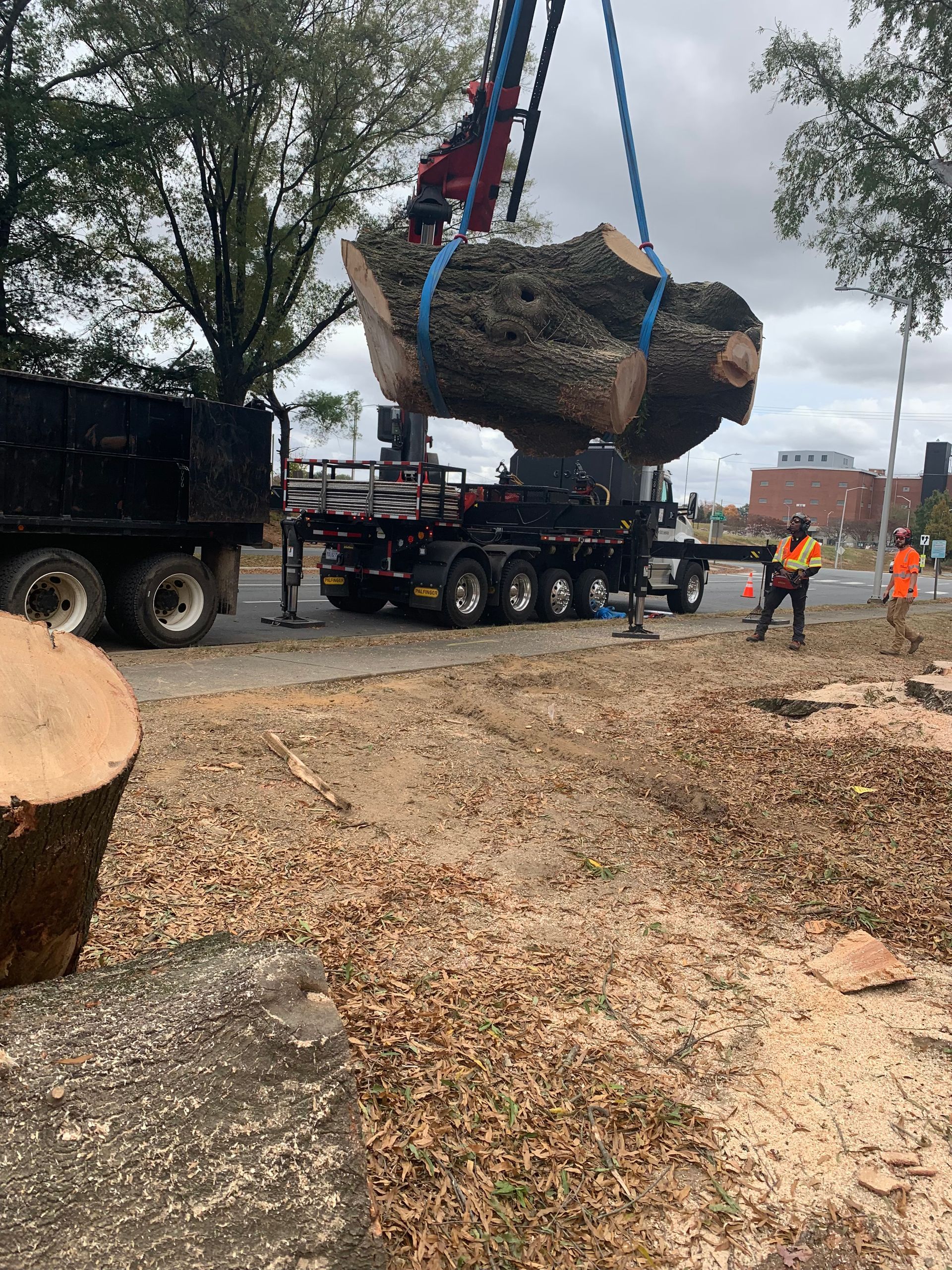 A large log is being lifted by a crane onto a truck.