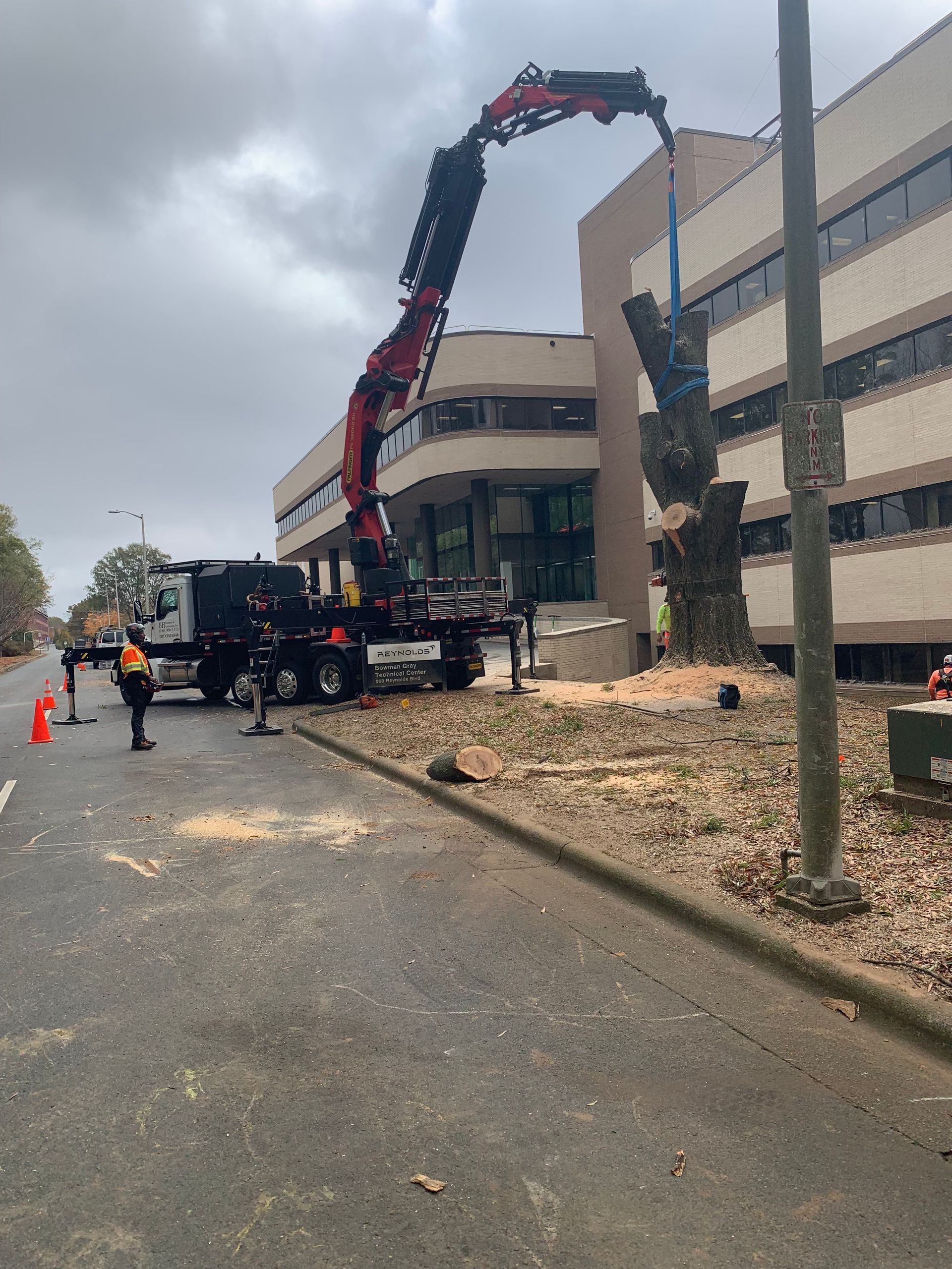 A crane is cutting down a tree in front of a building.