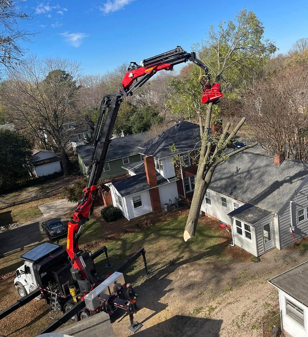 Tree services