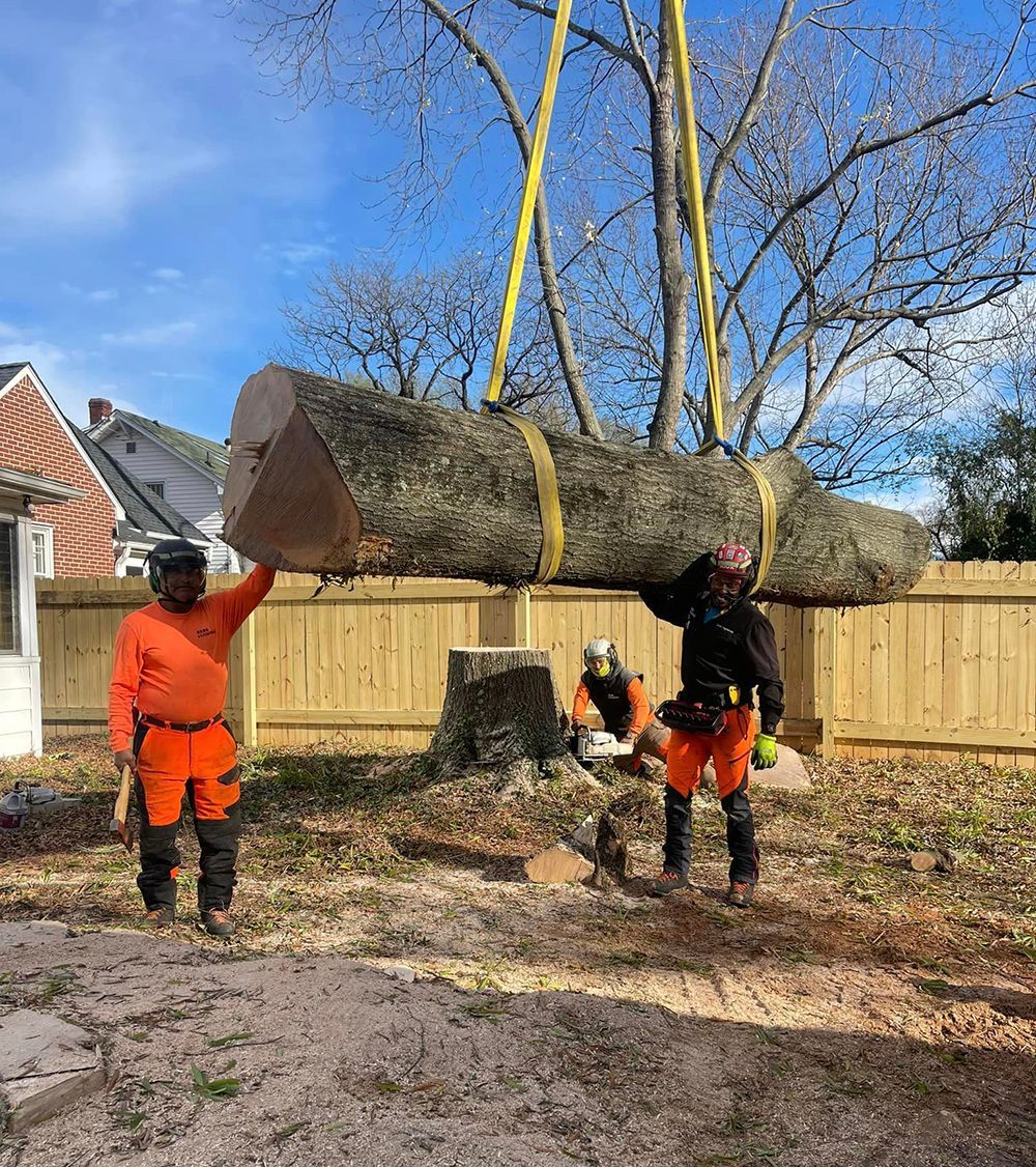 Tree services
