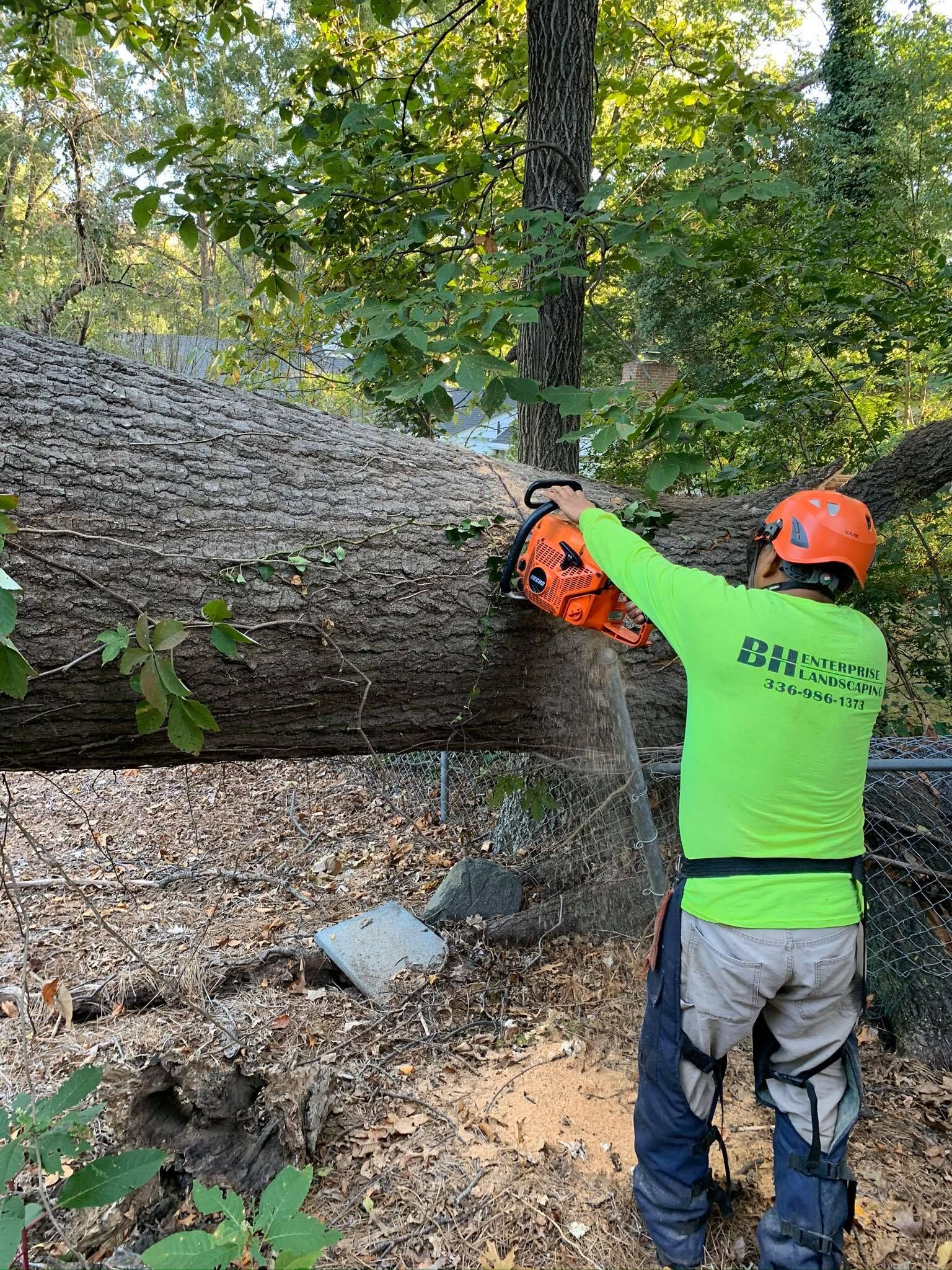 Tree services