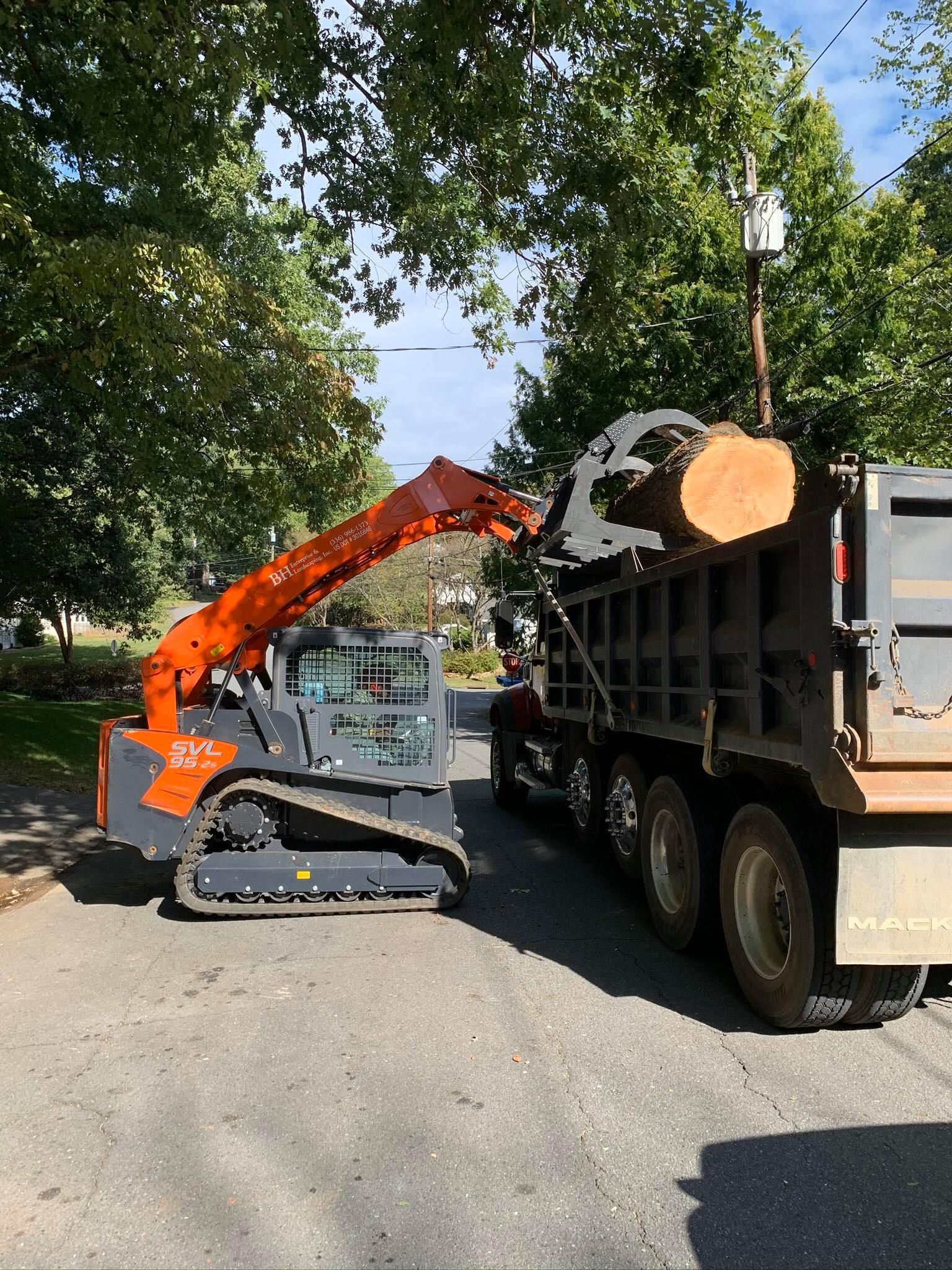 Tree services