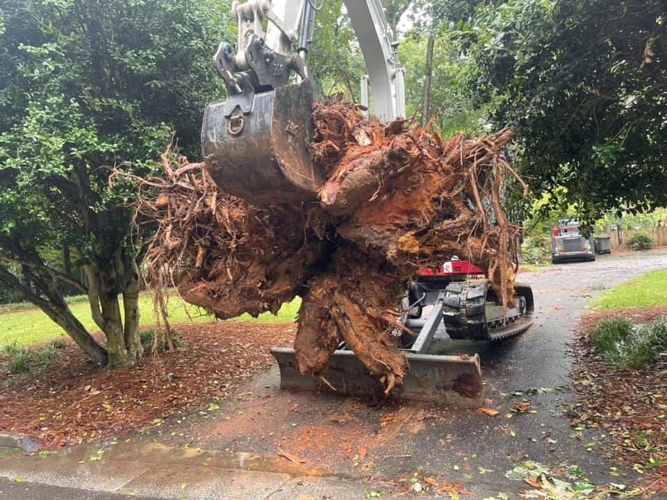 Landscaping and Tree services