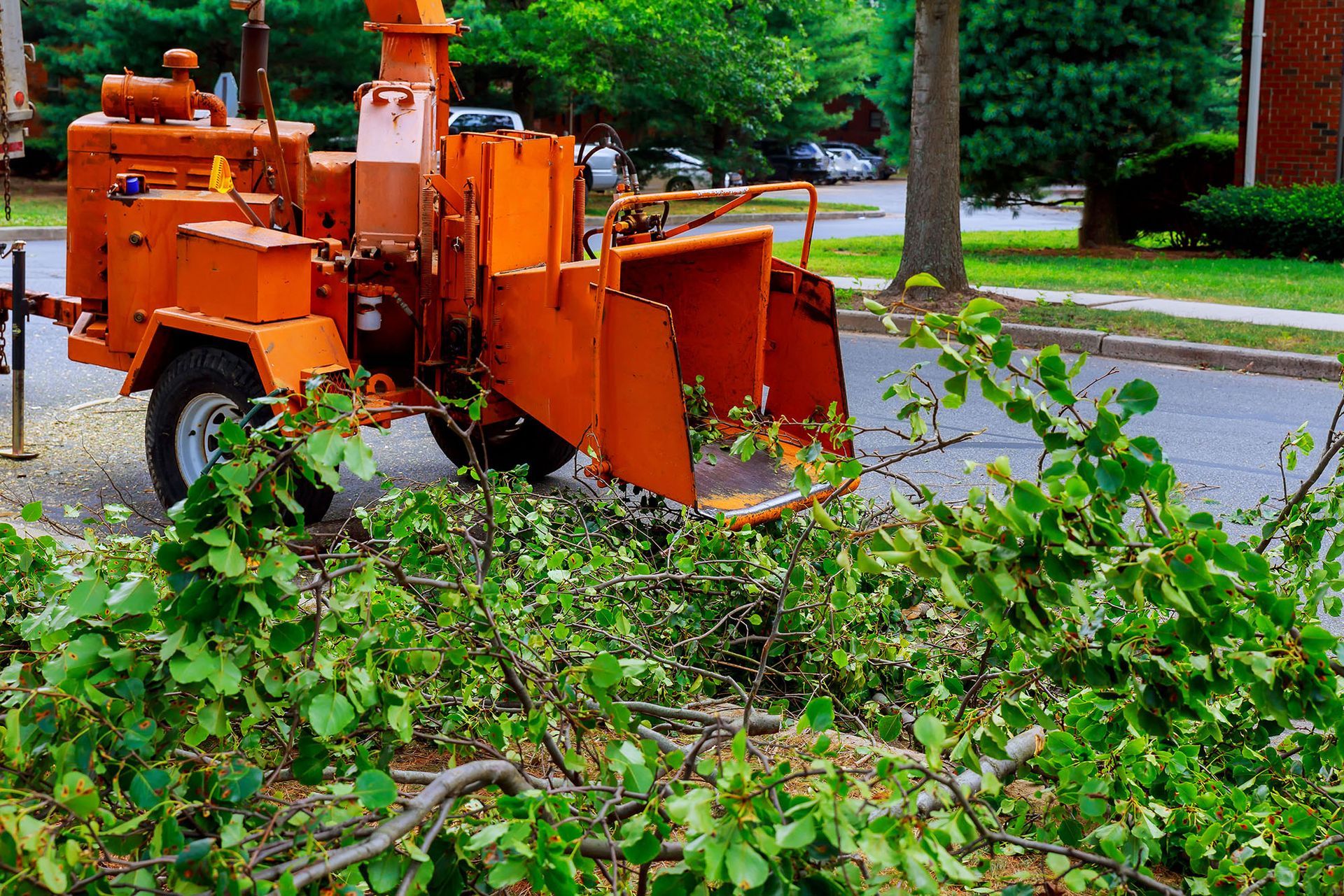 Emergency storm cleanup