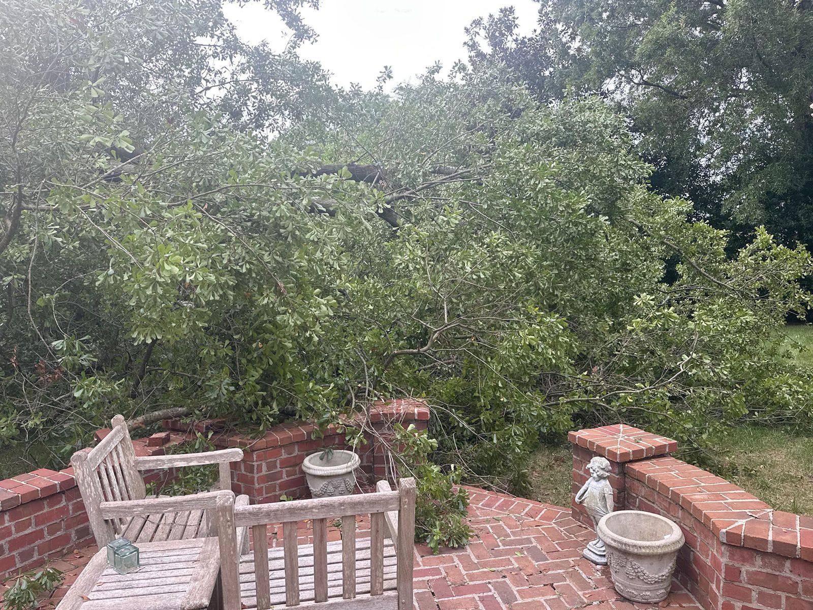 A tree fallen on the patio