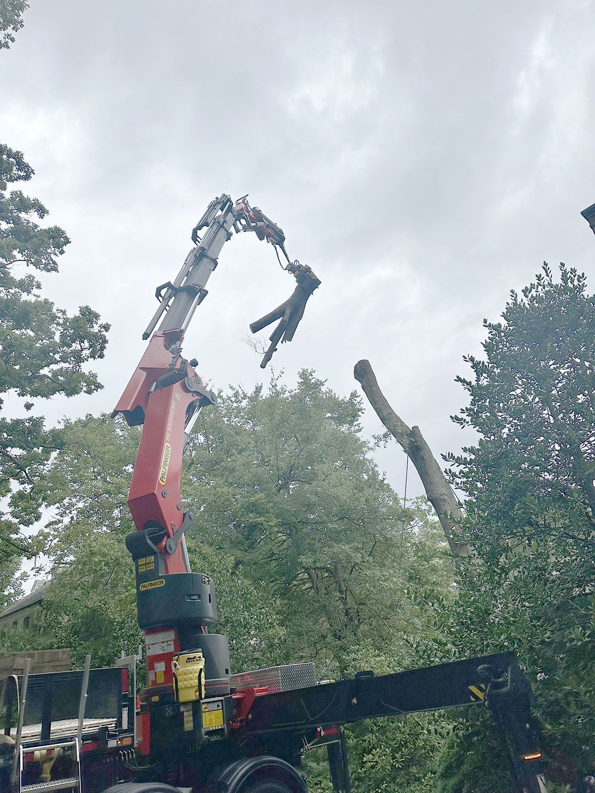 Safety tree removal process