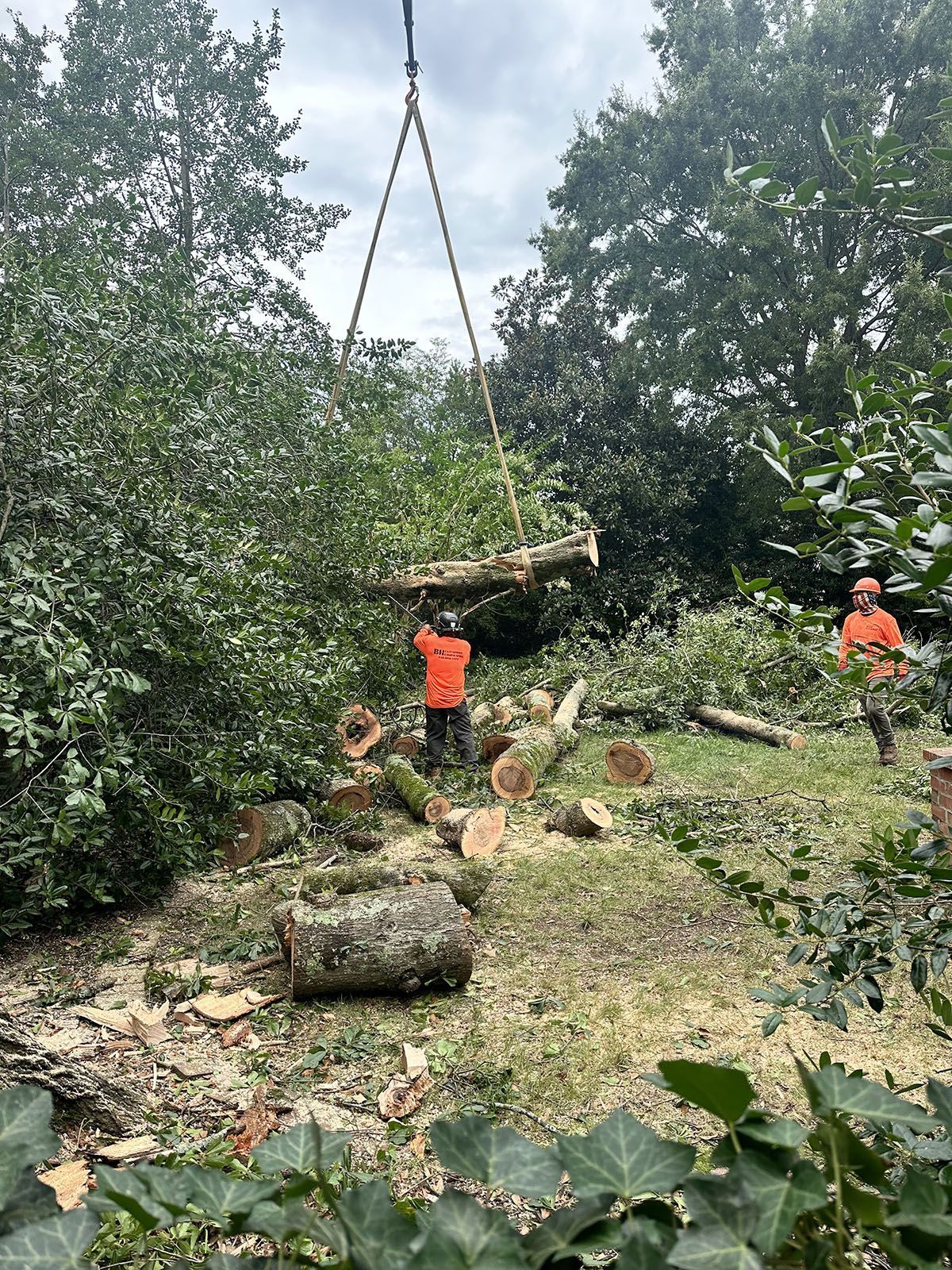 Storm damage cleanup process