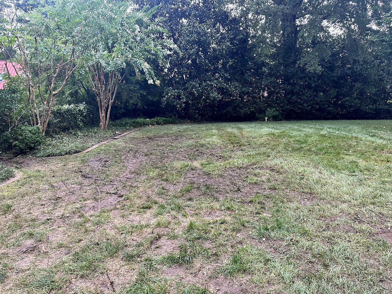 A clean yard after storm damage cleanup