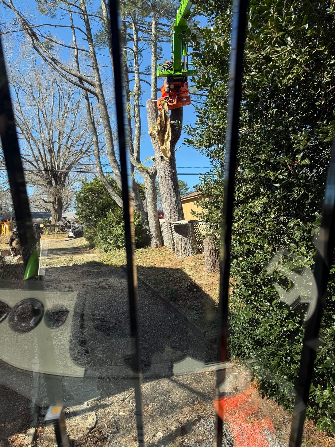 A tree being cut down by a machine with a green arm; seen through a vehicle window on a sunny day.
