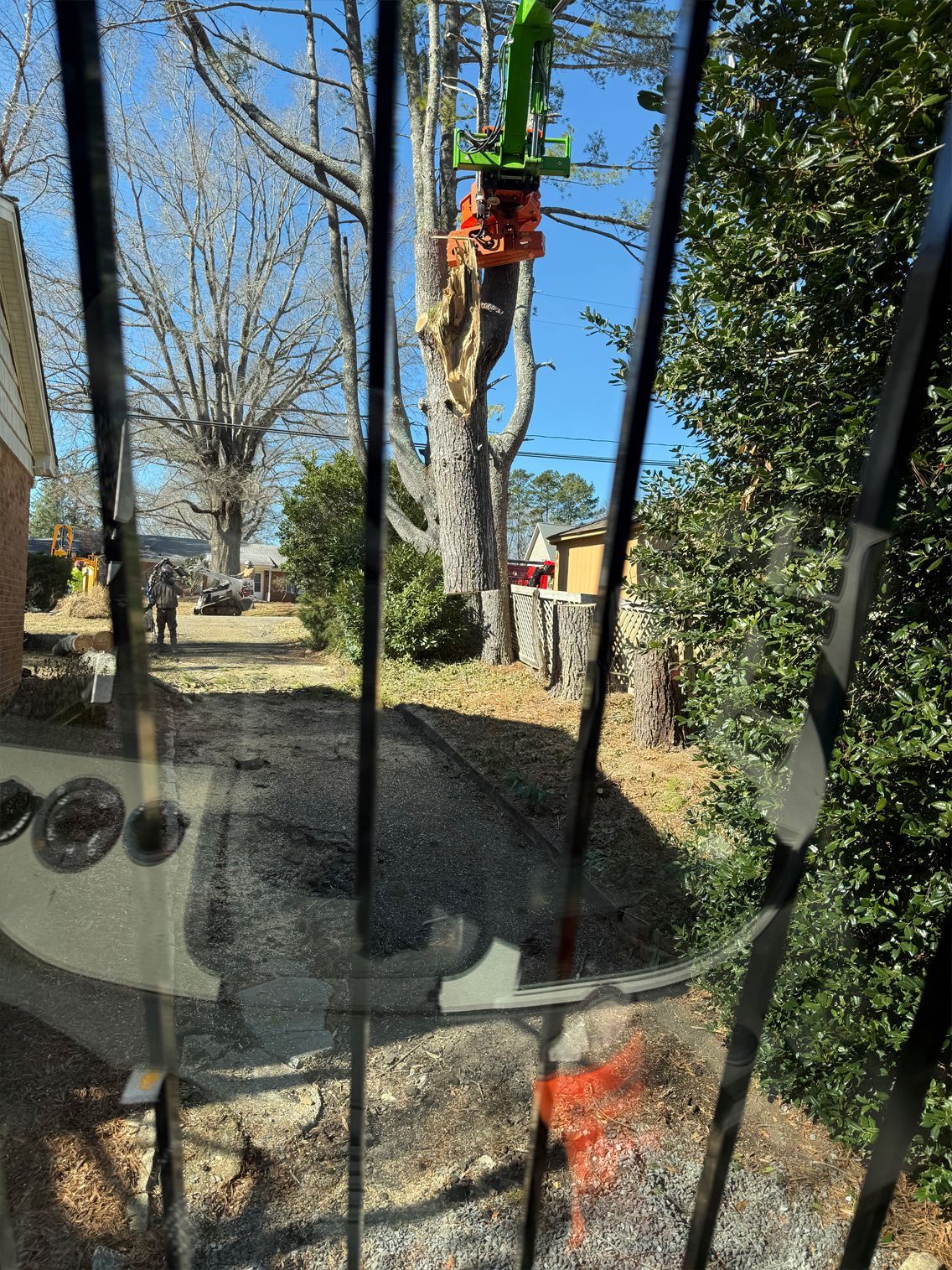 View through a broken windshield of a tree being cut down by a machine with a green arm; sunny day.