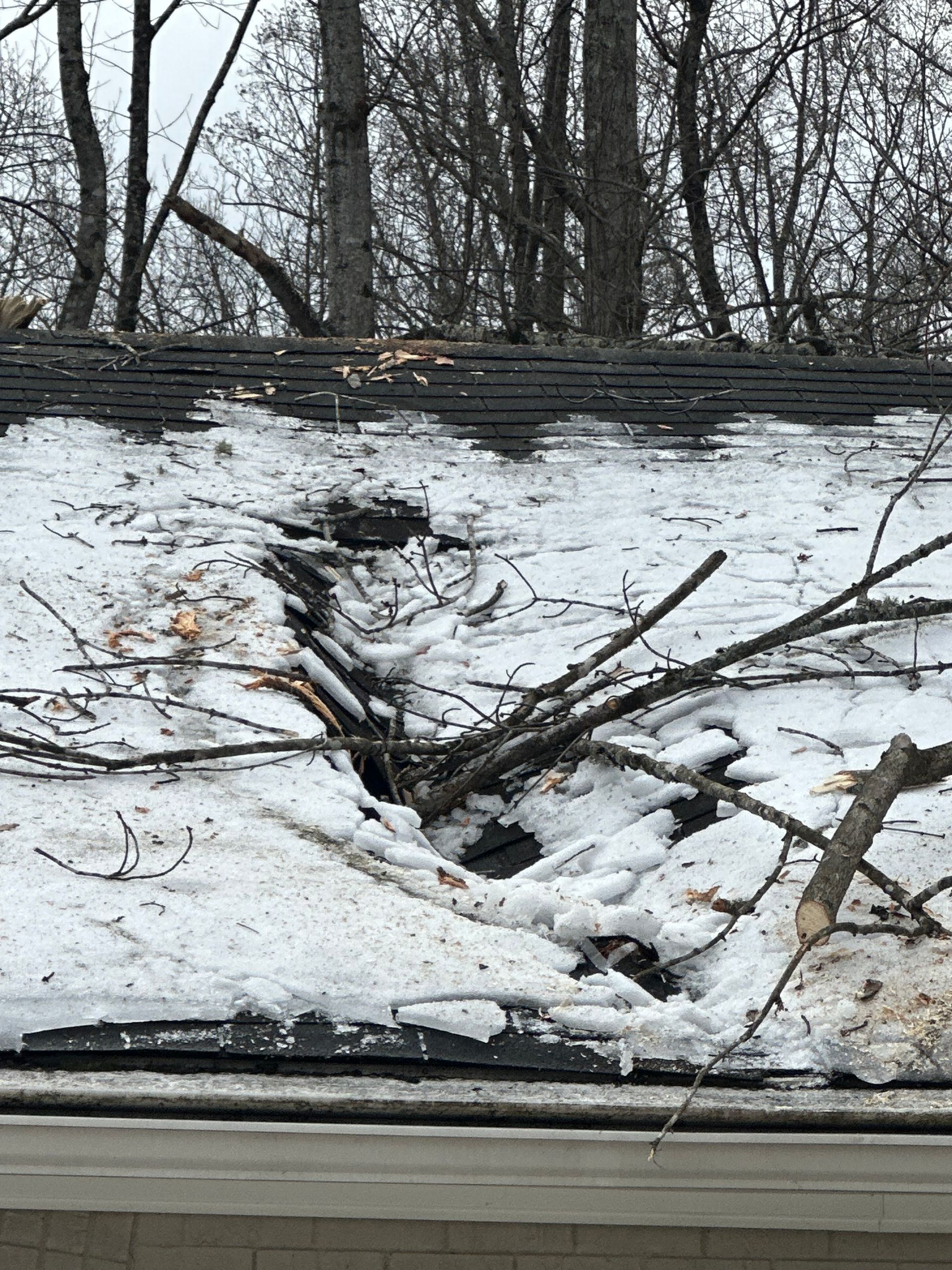 Snow-covered roof with a large hole, debris, and fallen branches. Trees in the background.