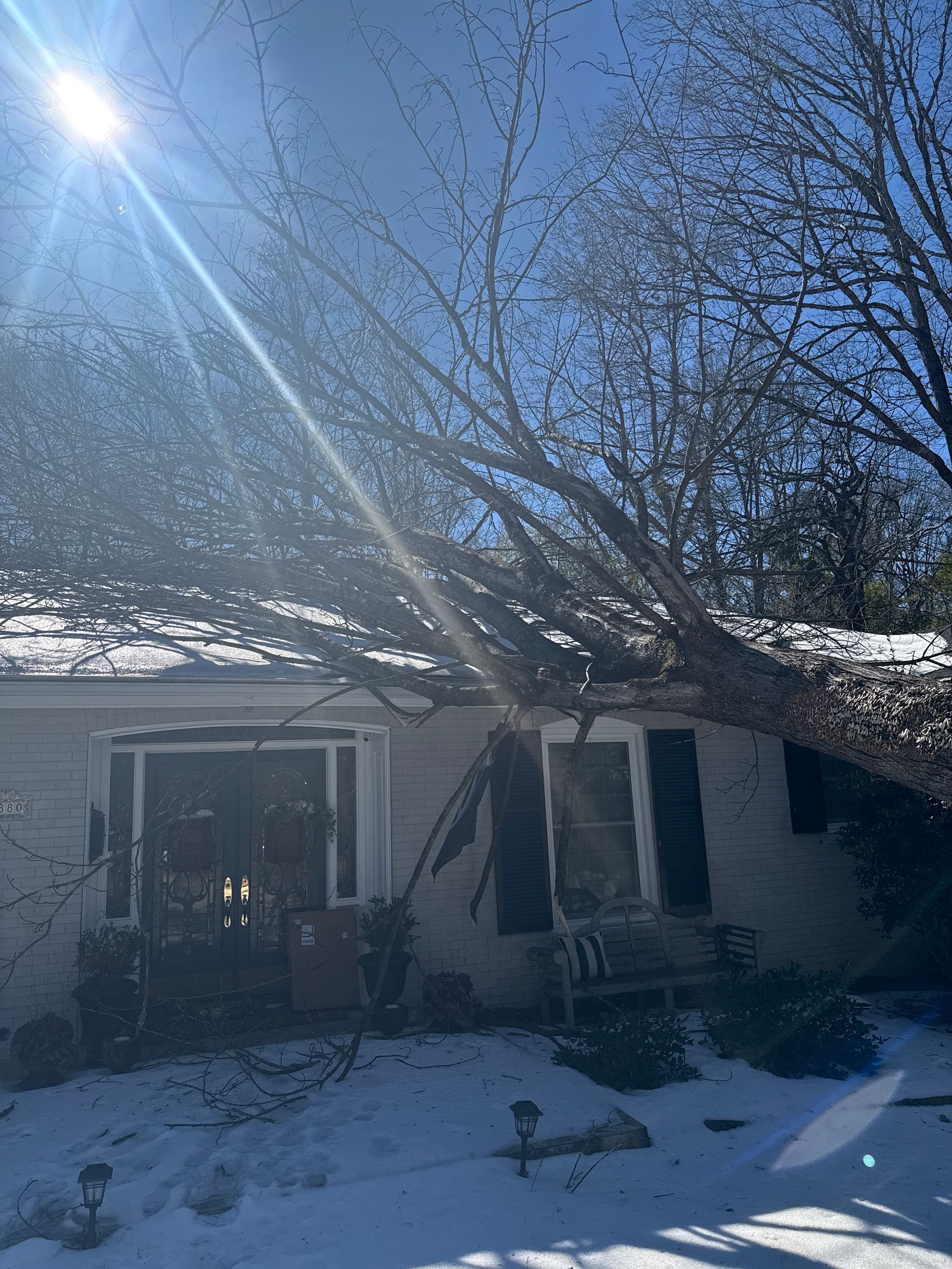Tree fallen on a snow-covered house with a bright sunny sky overhead.