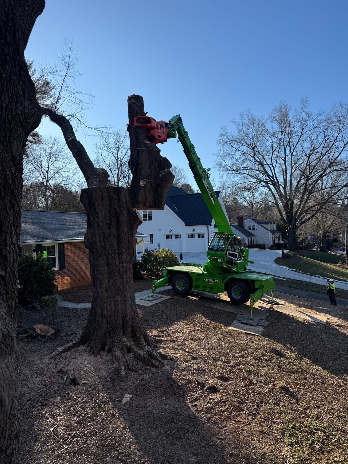 A tree being trimmed by a green lift in a residential yard on a sunny day.
