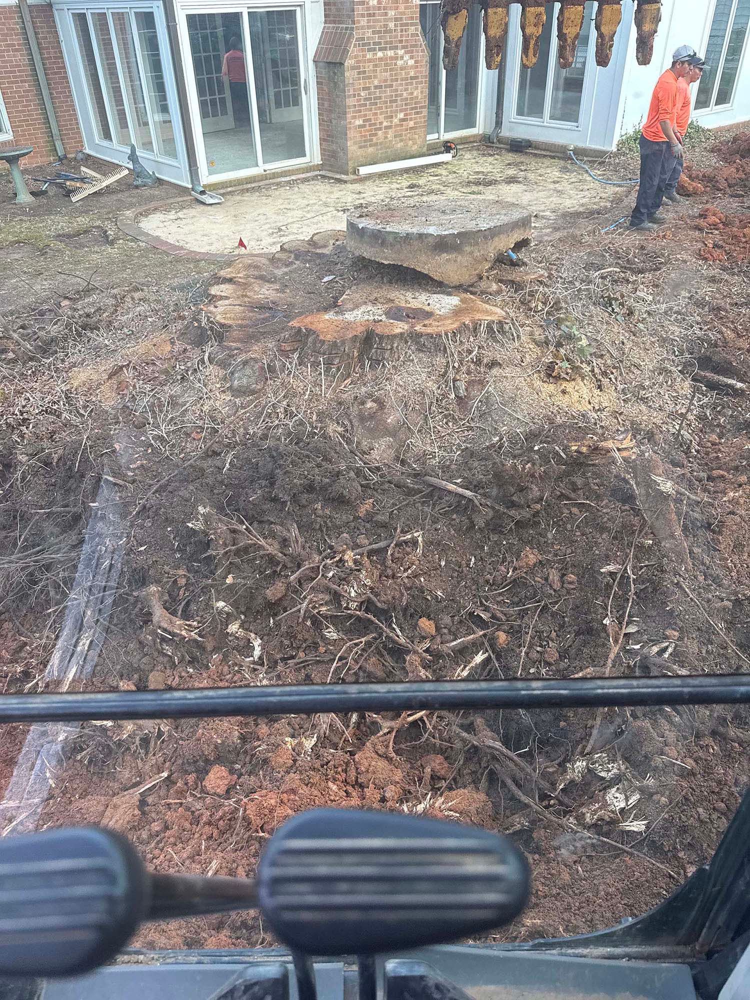 A tree stump and roots are exposed during excavation near a house with a person in orange working nearby.