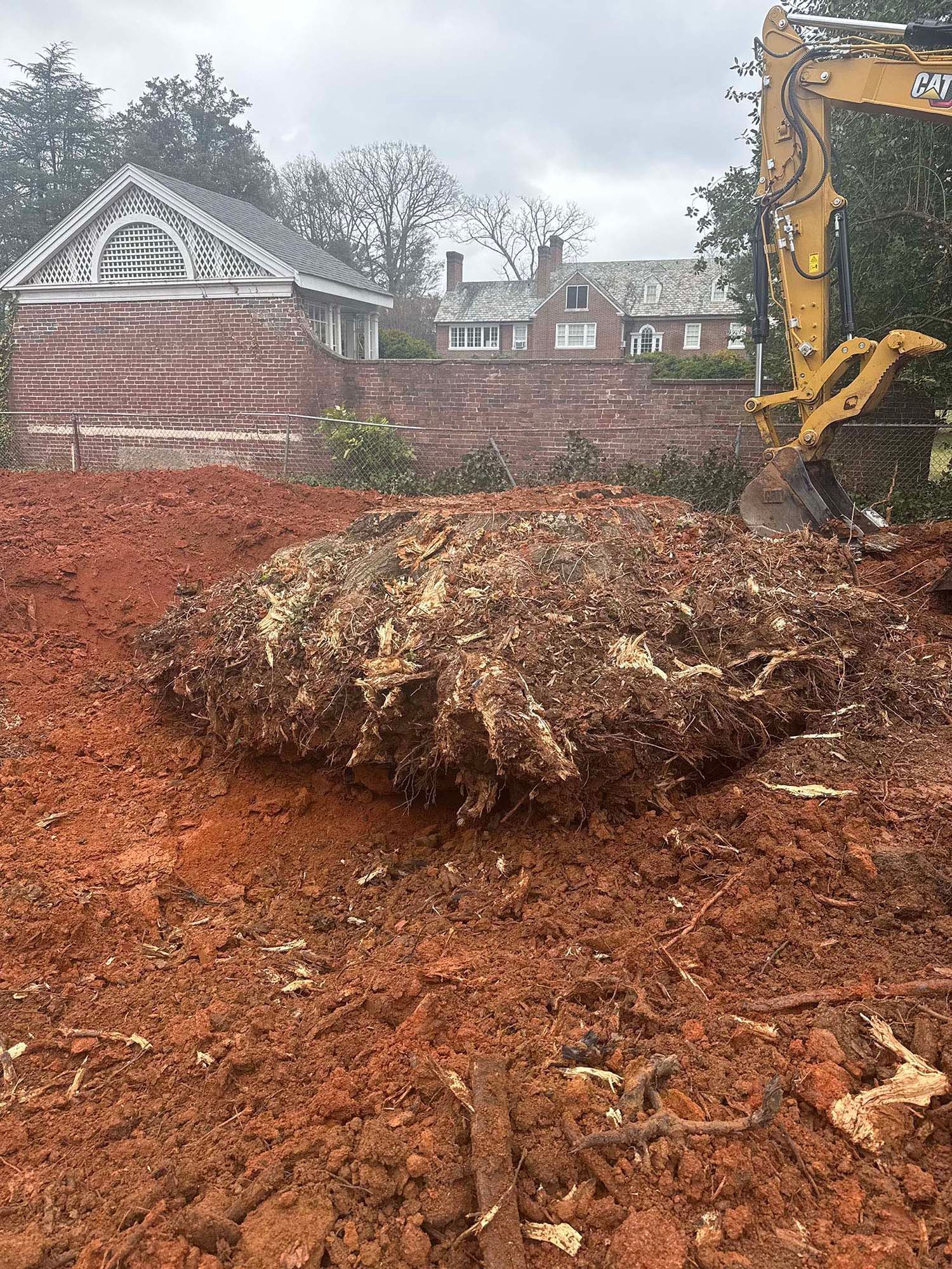 Excavator removing a large tree stump from red soil in front of a brick building.