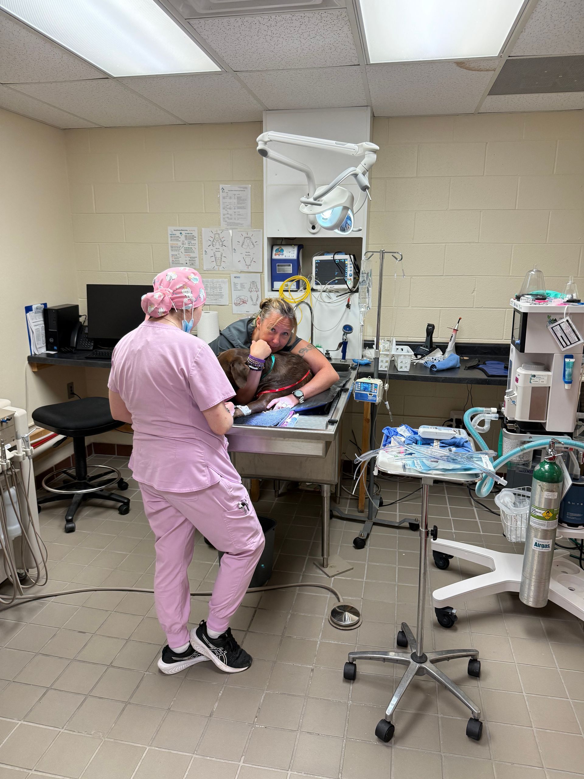 Veterinary staff tending to a dog on an exam table in an exam room. One person is looking towards a screen.