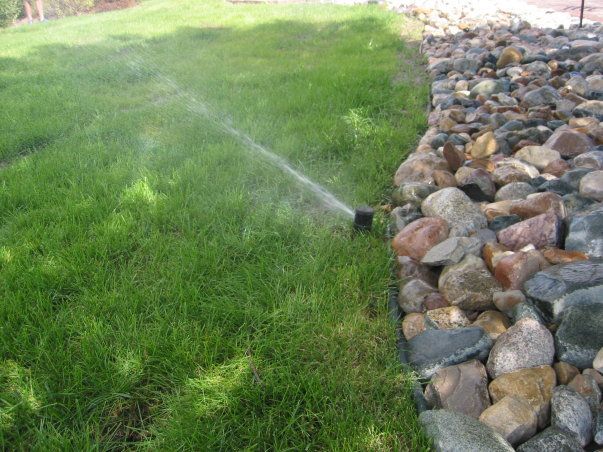 A sprinkler is spraying water on a lush green lawn next to a rock wall.