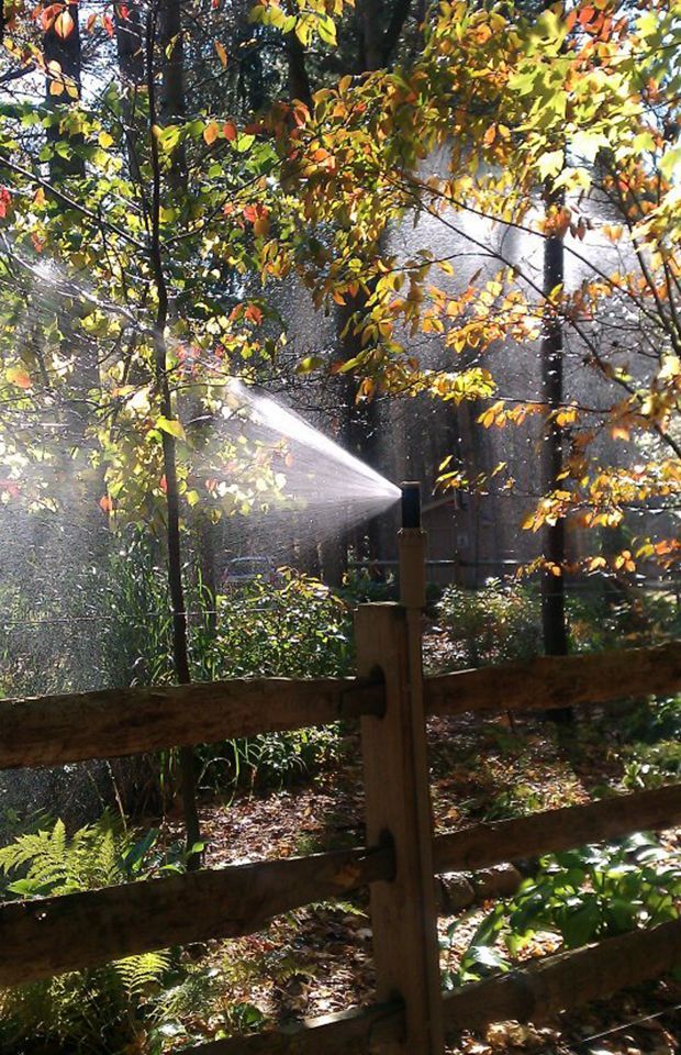 A sprinkler is spraying water on a wooden fence in the woods.
