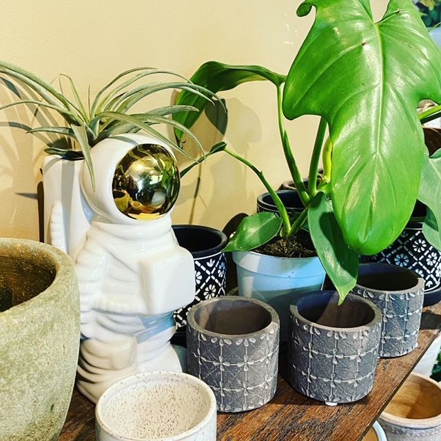 Astronaut plant pot and other plant pots in varied colors 