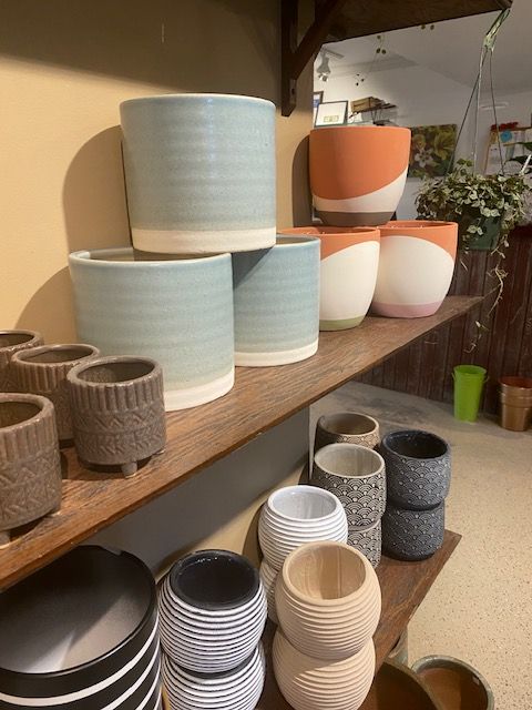 Shelfs of varied sizes and colors of plant containers