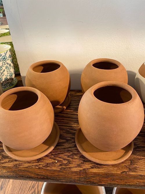 Women of the Cloud Forest Brown with Saucer\