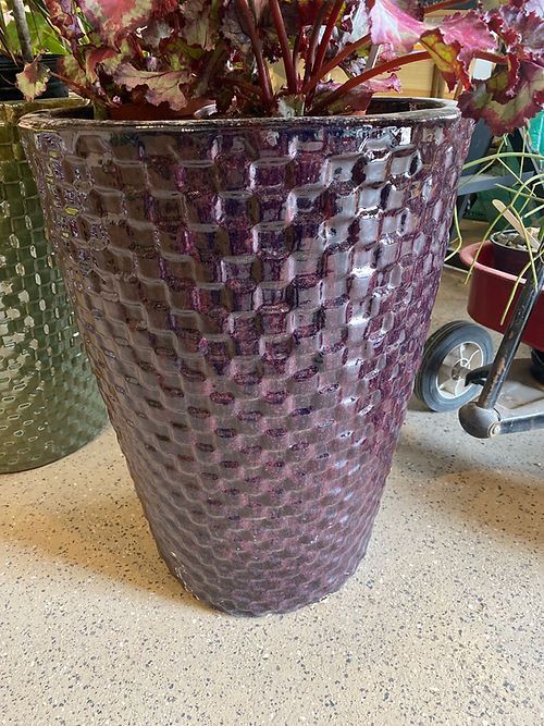 Chelsea - Glossy Purple 15”