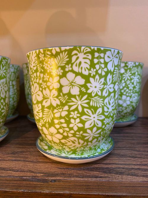 Chive - Green Garden 4”