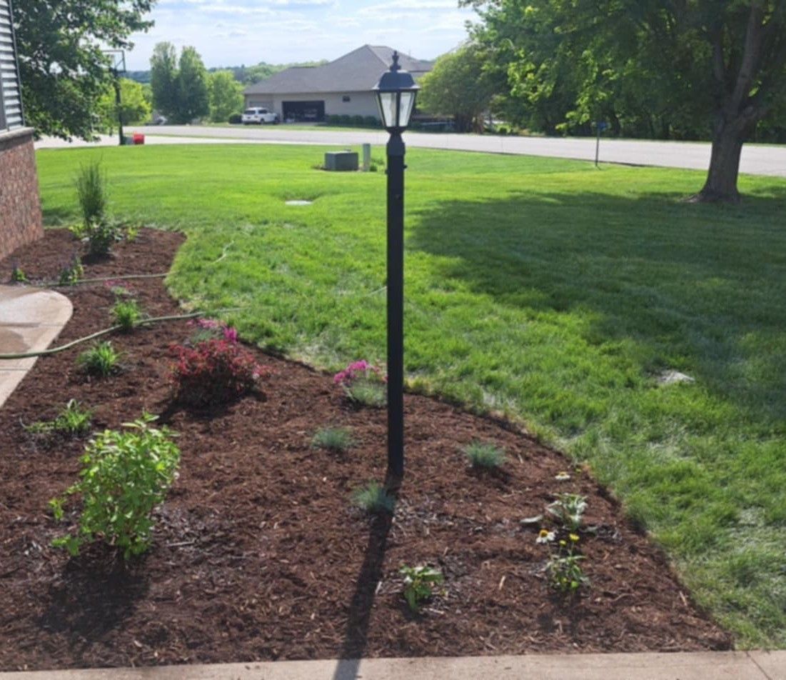 House with green grass and small bushes